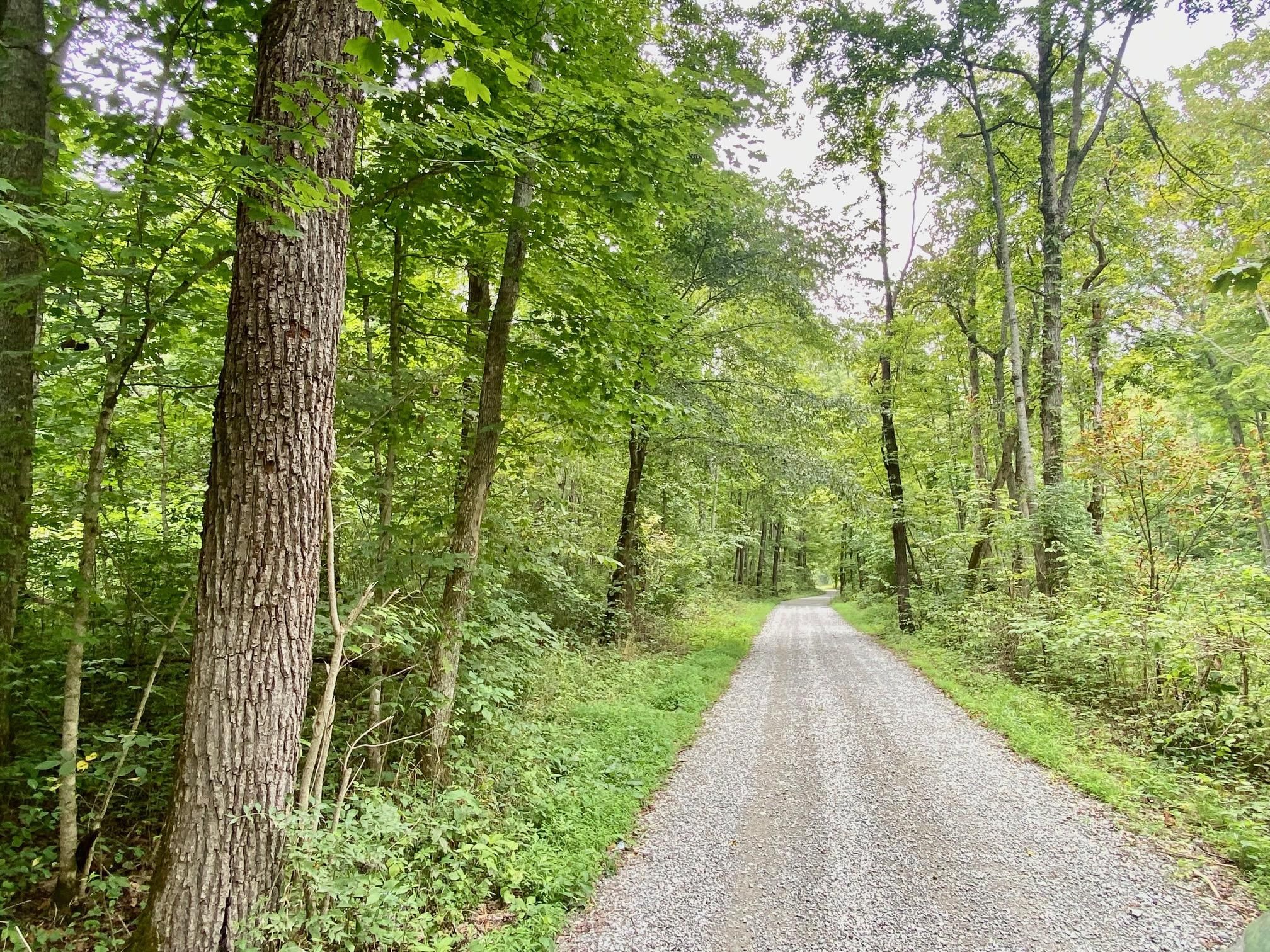 Robinson Hollow Road, West Union, OH 45693 MLS 1780000 Land and Farm