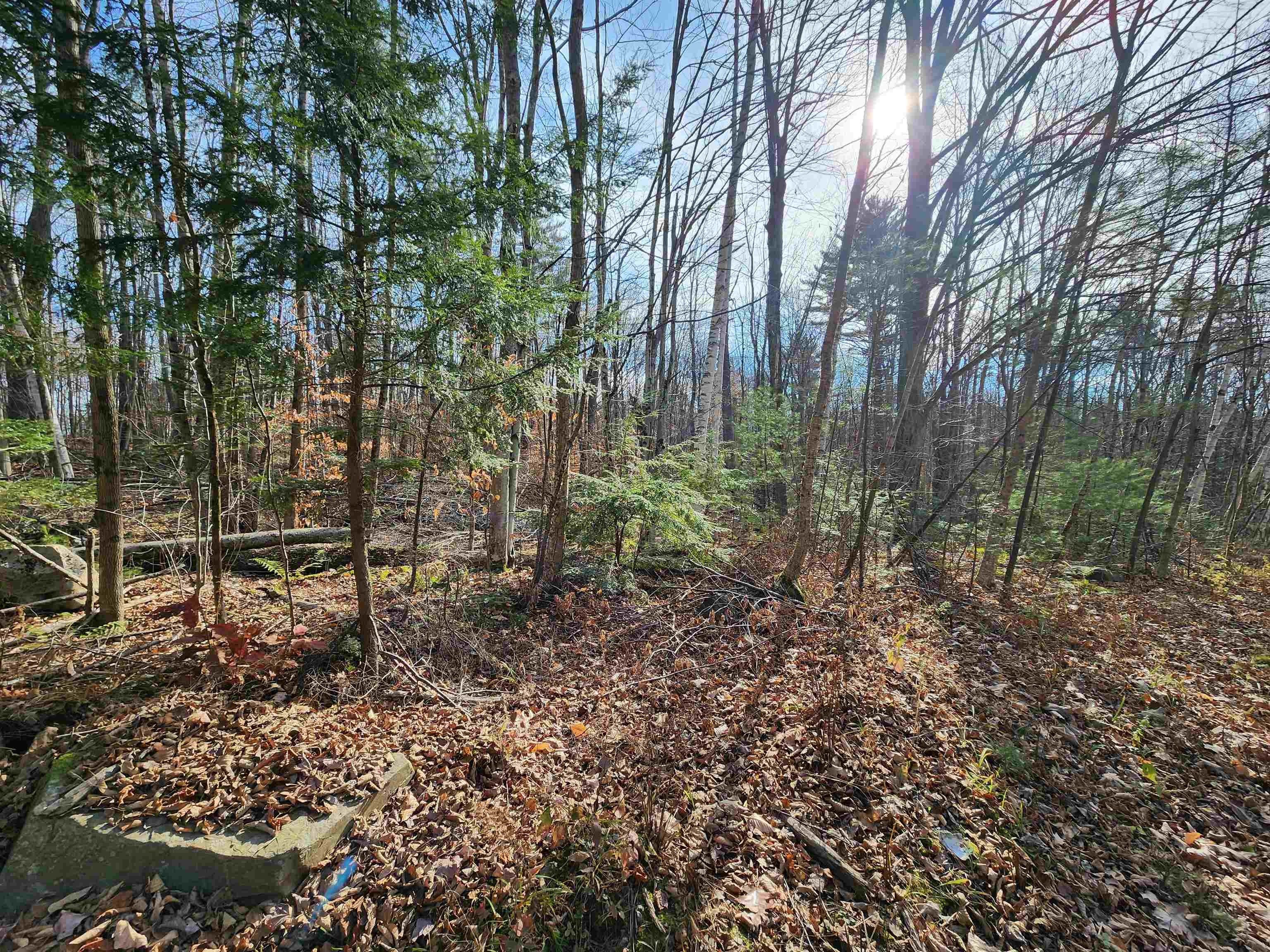 0.86 Acres, 000 Haverhill Lane, Haverhill, NH 03765 Land and Farm
