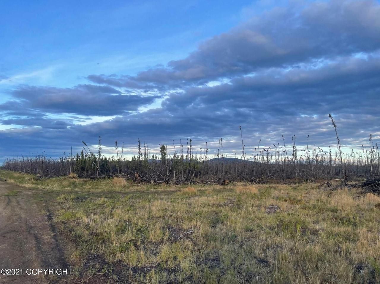 75 Acres, L1516 ASLS 7931, Healy, AK 99704 Land and Farm