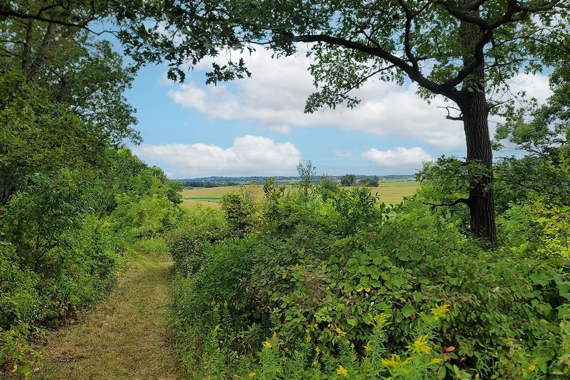 8 Acres, E3296 Hayden Rd, De Soto, WI 54624 Land and Farm