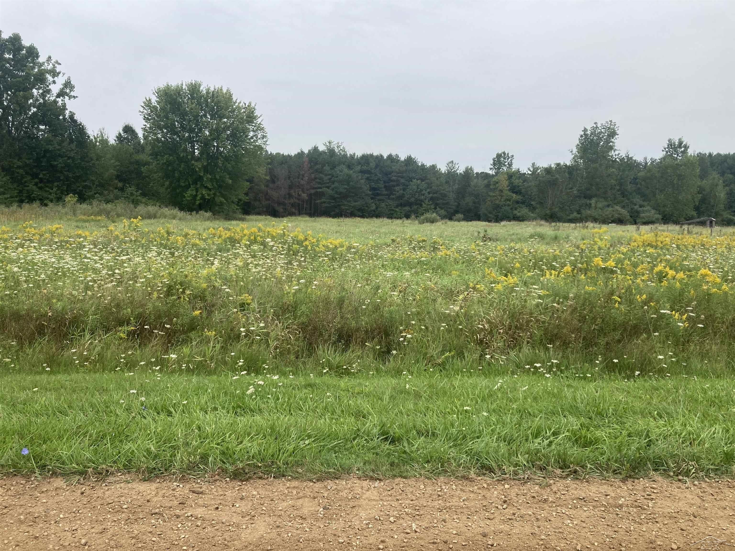 6.07 Acres, VL Marion, Brant, MI 48614 Land and Farm