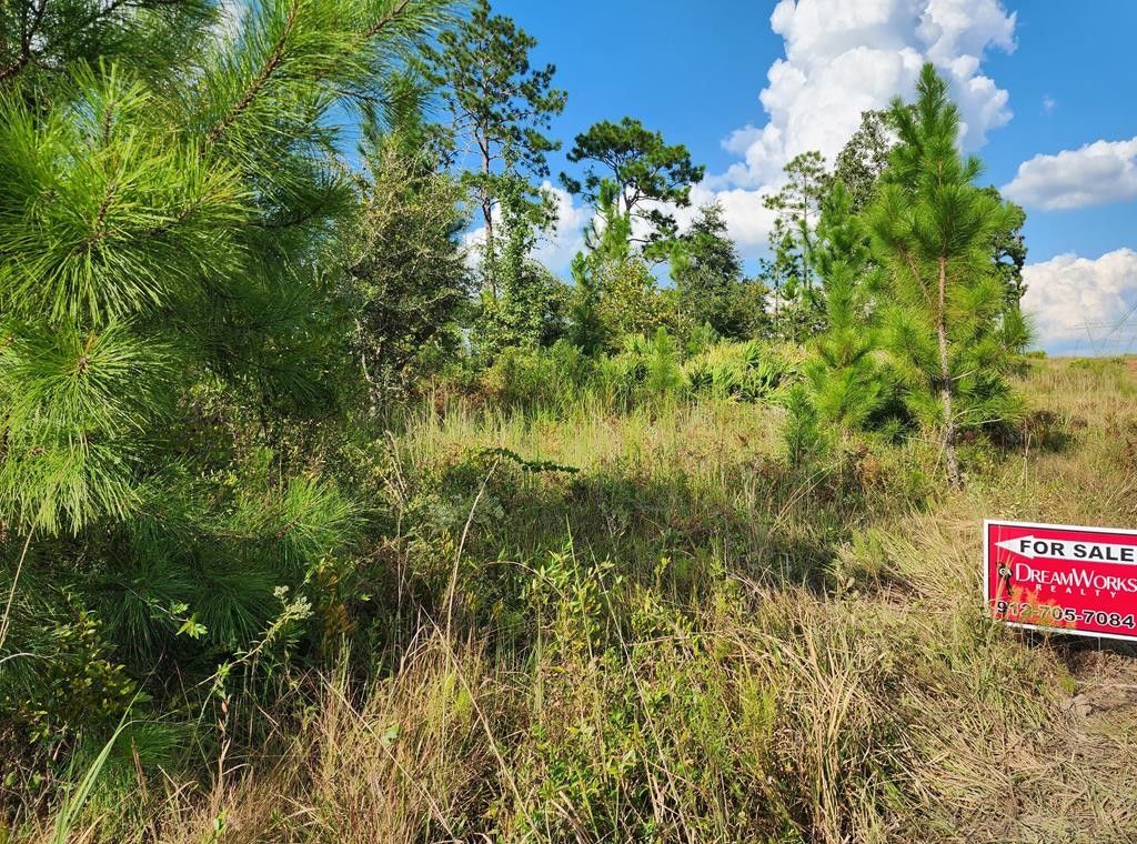 18 Acres, 0 Dubberly Rd, Baxley, GA 31513 Land and Farm