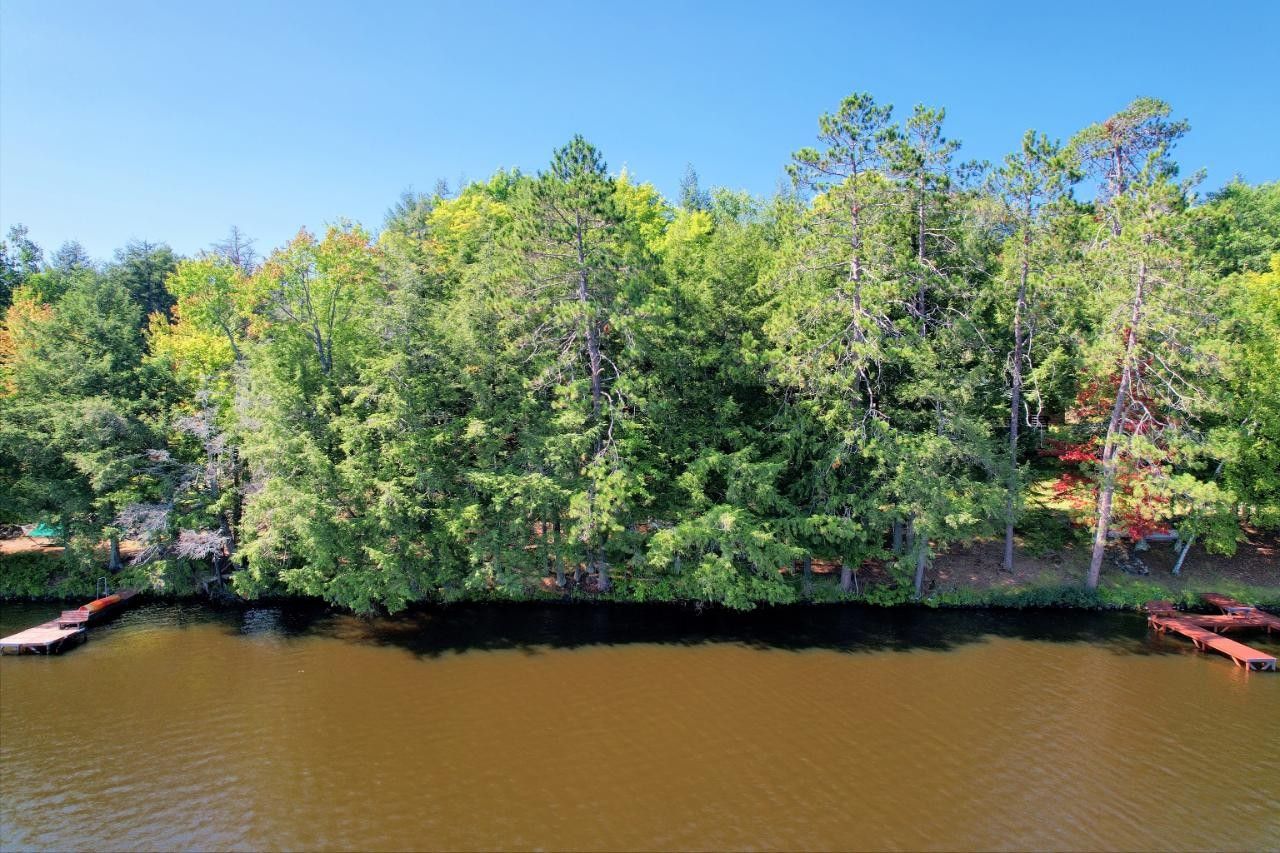 0.68 Acres, 765 REED RD, Three Lakes, WI 54562 Land and Farm