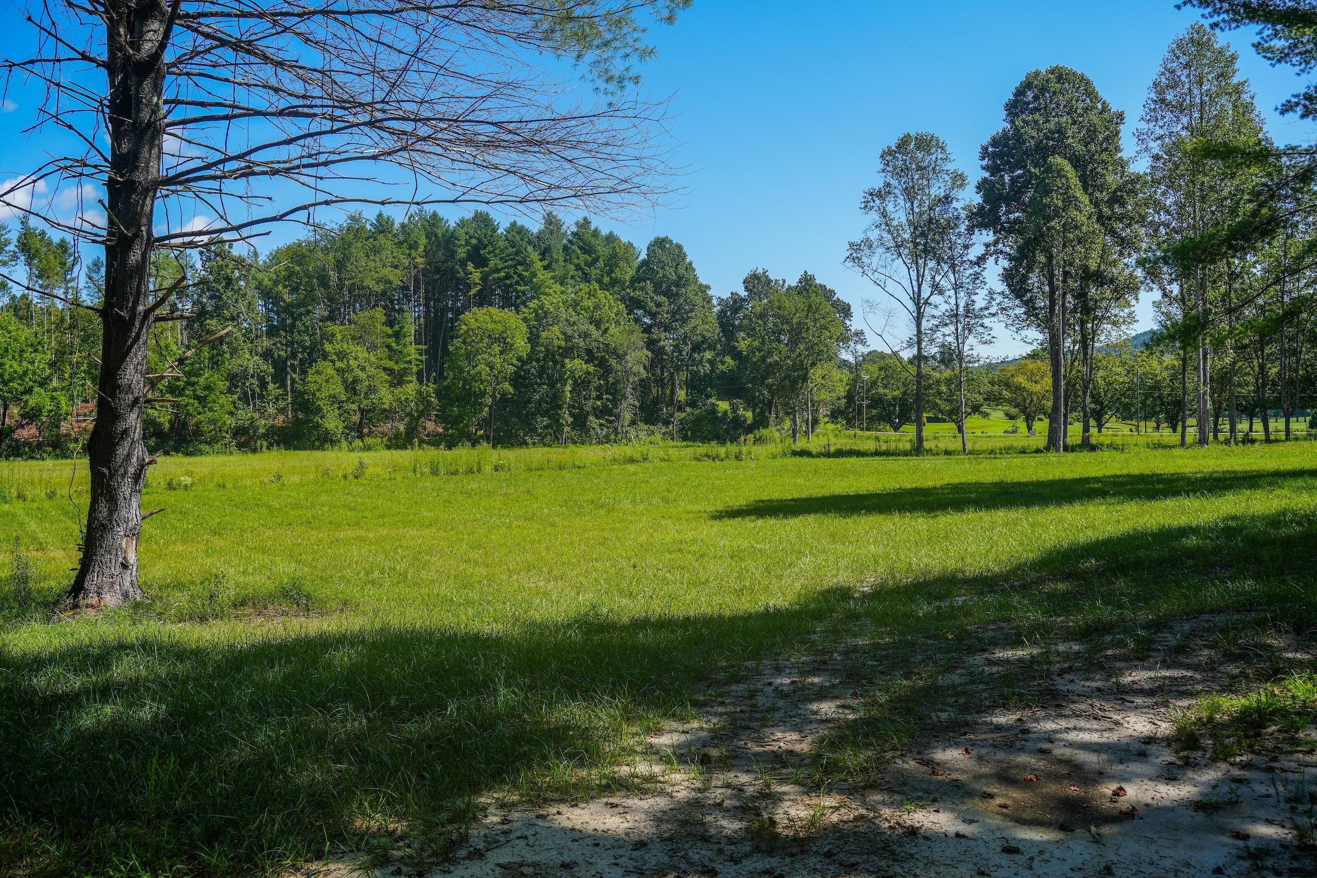 39.98 Acres, 1255 Cedar Rock Cir, Lenoir, NC 28645 Land and Farm