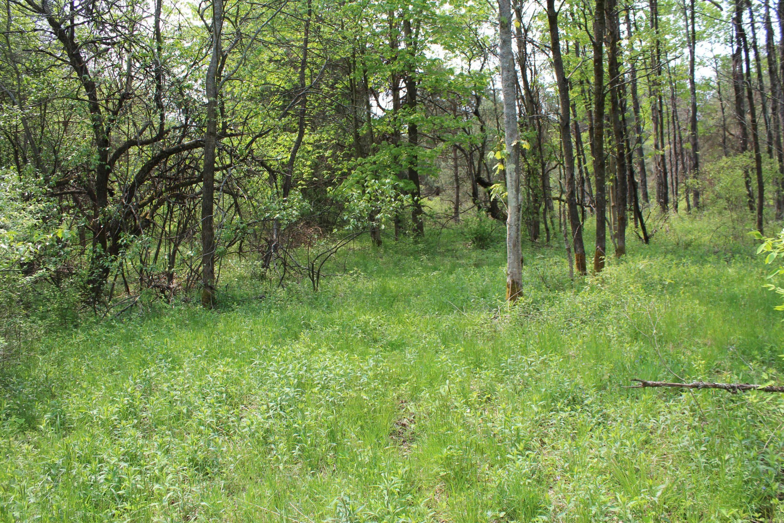 3408 Hance Rd, Binghamton, NY 13903 MLS S1497656 Land and Farm