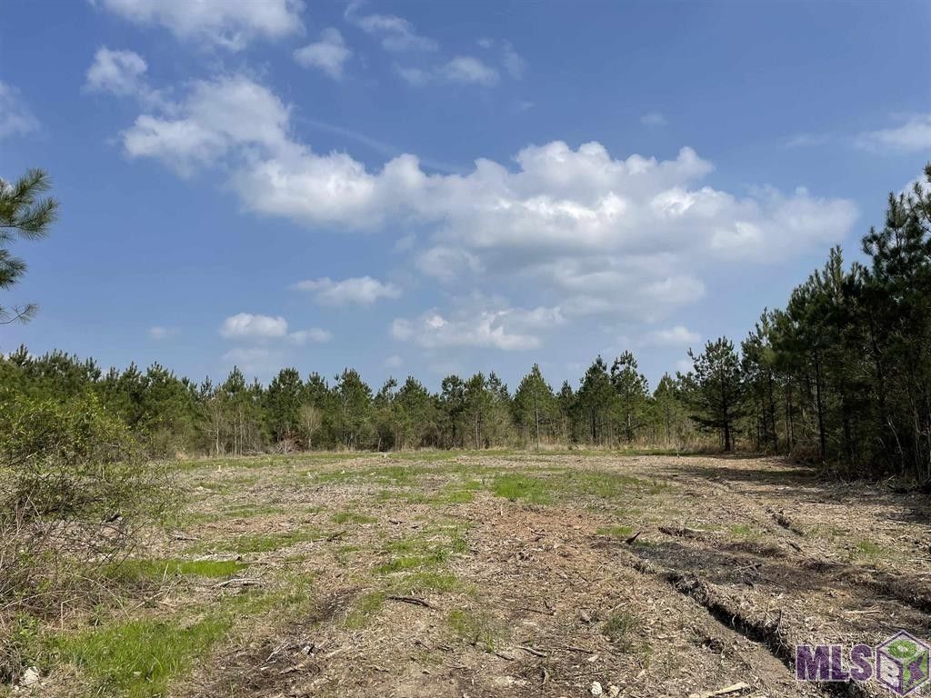 5.39 Acres, Tract 10 LORIN WALL RD, Holden, LA 70744 Land and Farm