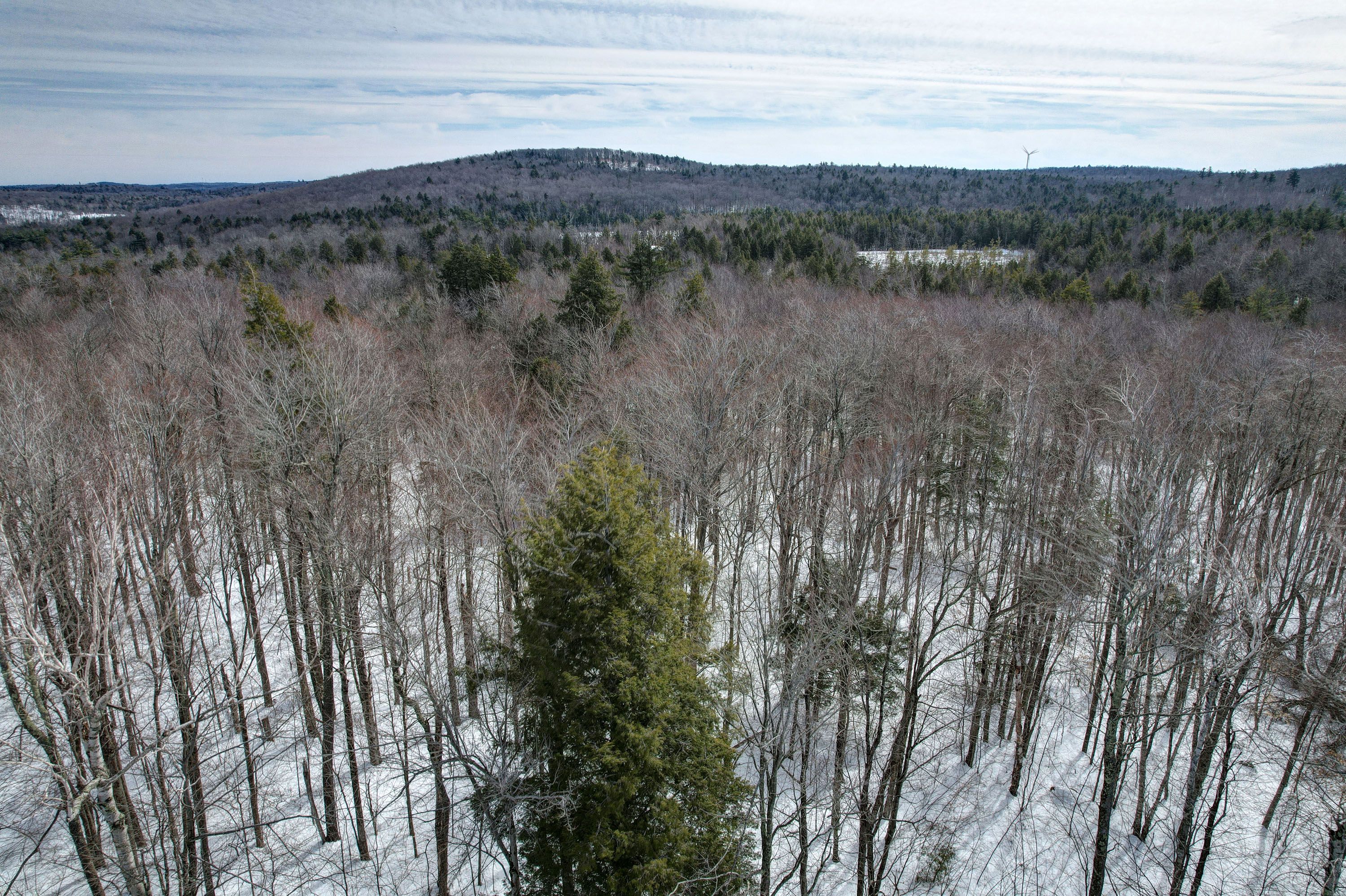 Skyline Ridge Rd Lot 10, Becket, MA 01223 MLS 239907 Land and Farm