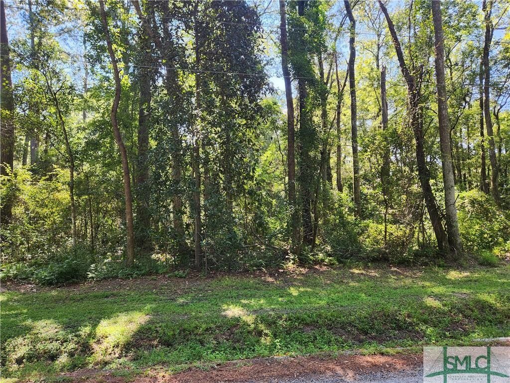 2.36 Acres, 0 Little McCall Road, Rincon, GA 31326 Land and Farm