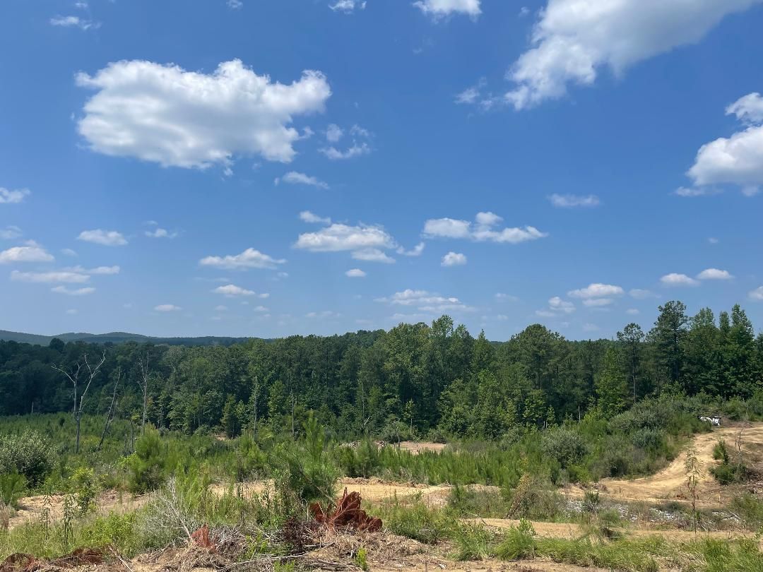40 Acres, 008 Chelsea Rd, Chelsea, AL 35043 Land and Farm