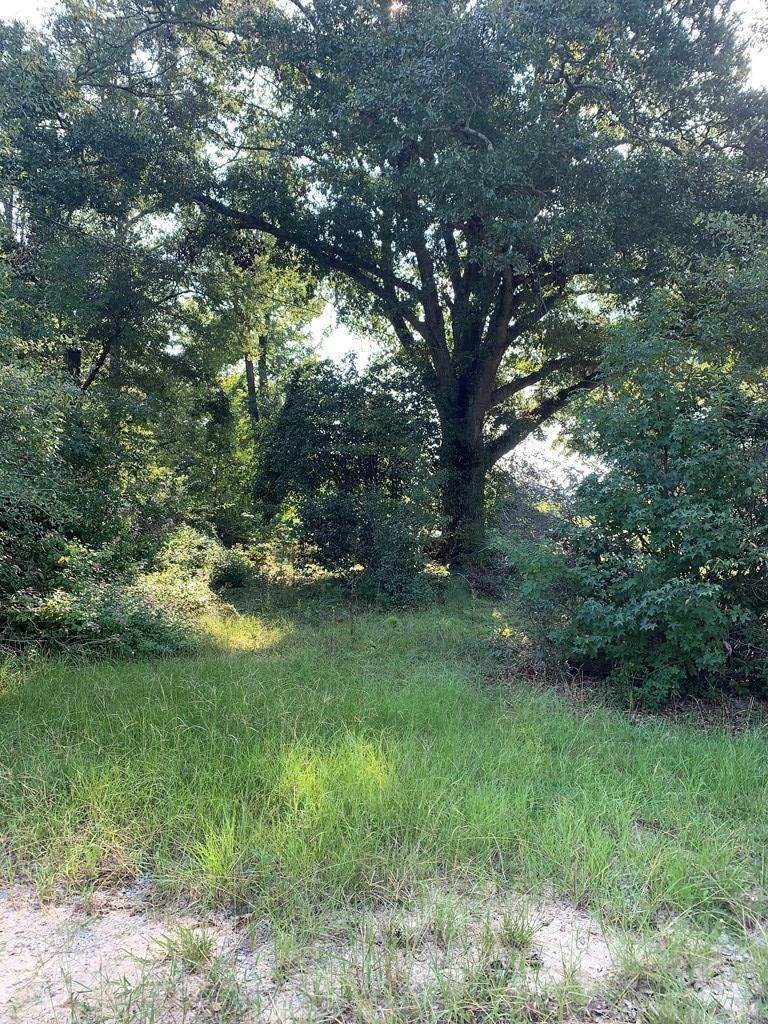 821 Gardner Road, Grady, AL 36036 MLS 25255 Land and Farm