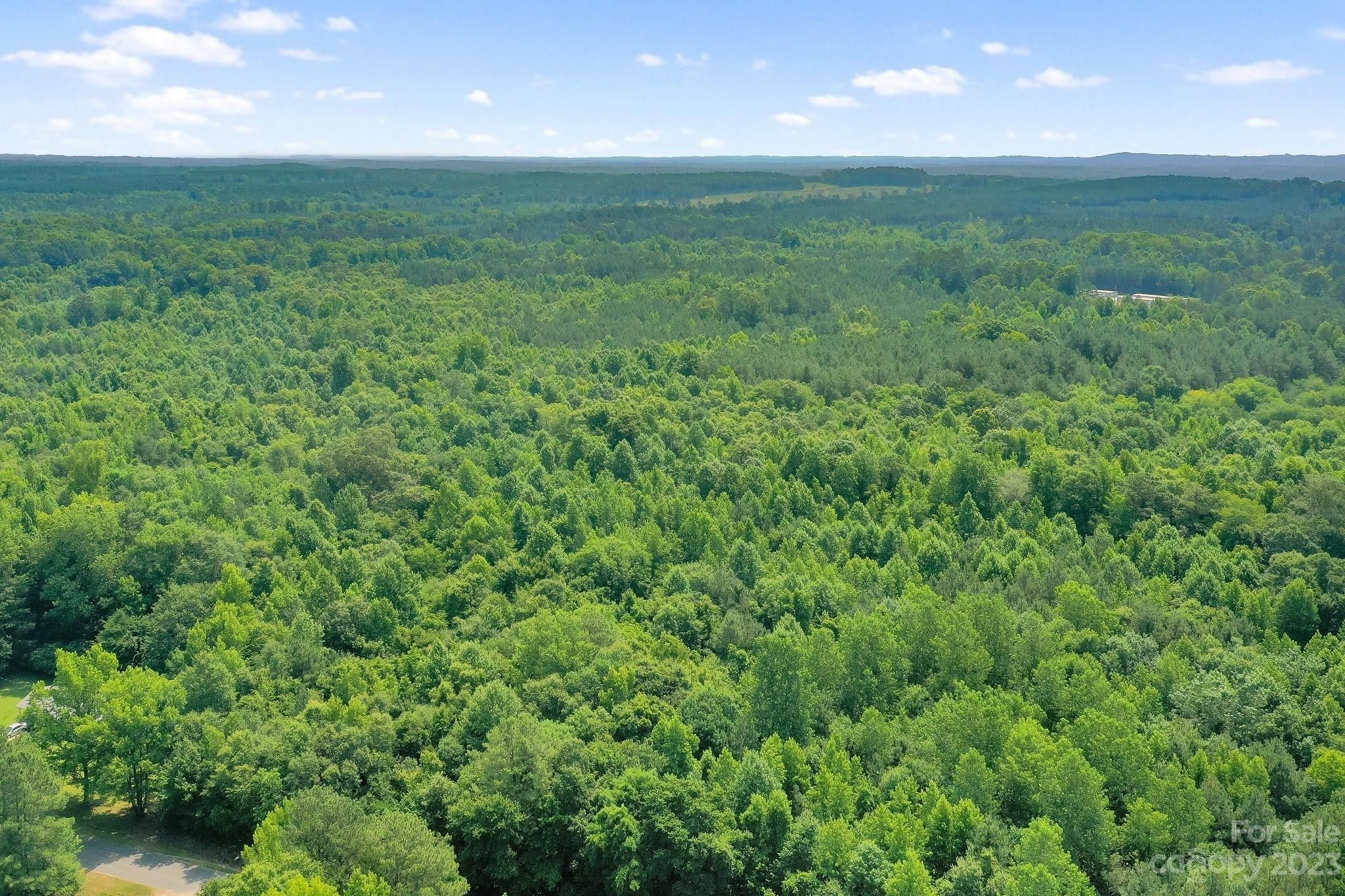 64.65 Acres, 0 Golden Rod Lane, Polkton, NC 28135 Land and Farm