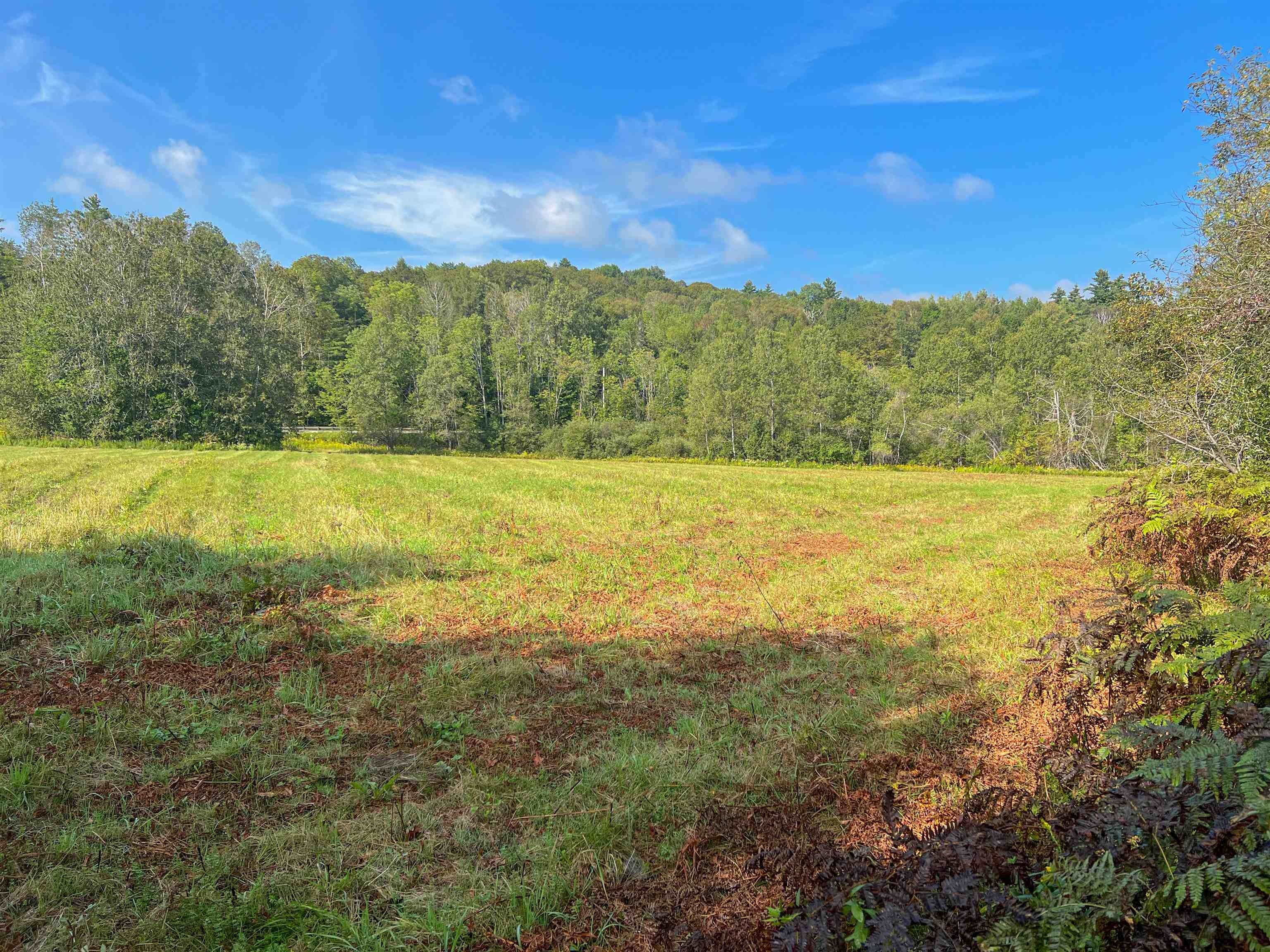 11.7 Acres, 00 Route 155, Mount Holly, VT 05758 Land and Farm