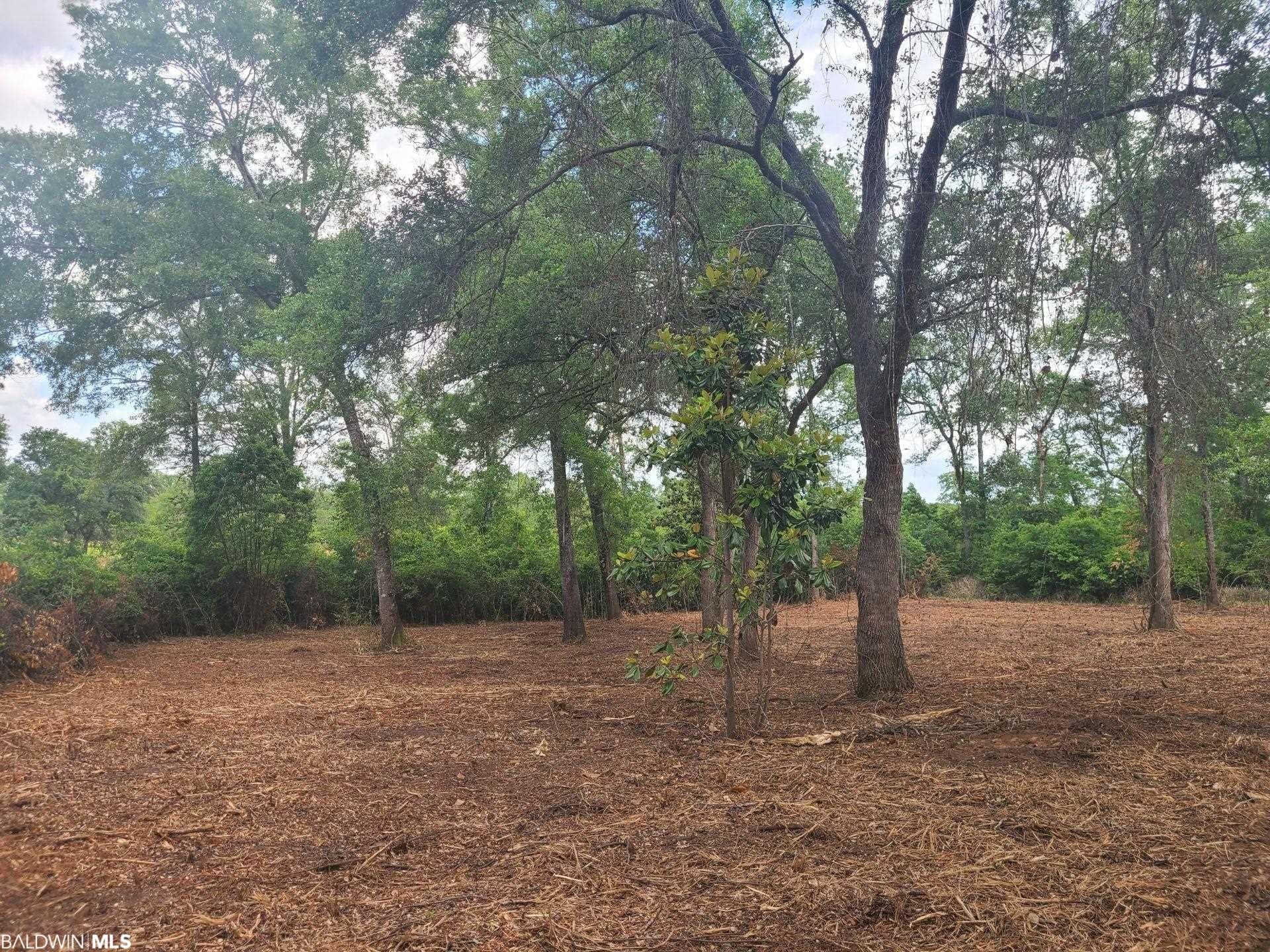 20 Acres, 0 Woodhaven Dairy Road, Summerdale, AL 36580 Land and Farm