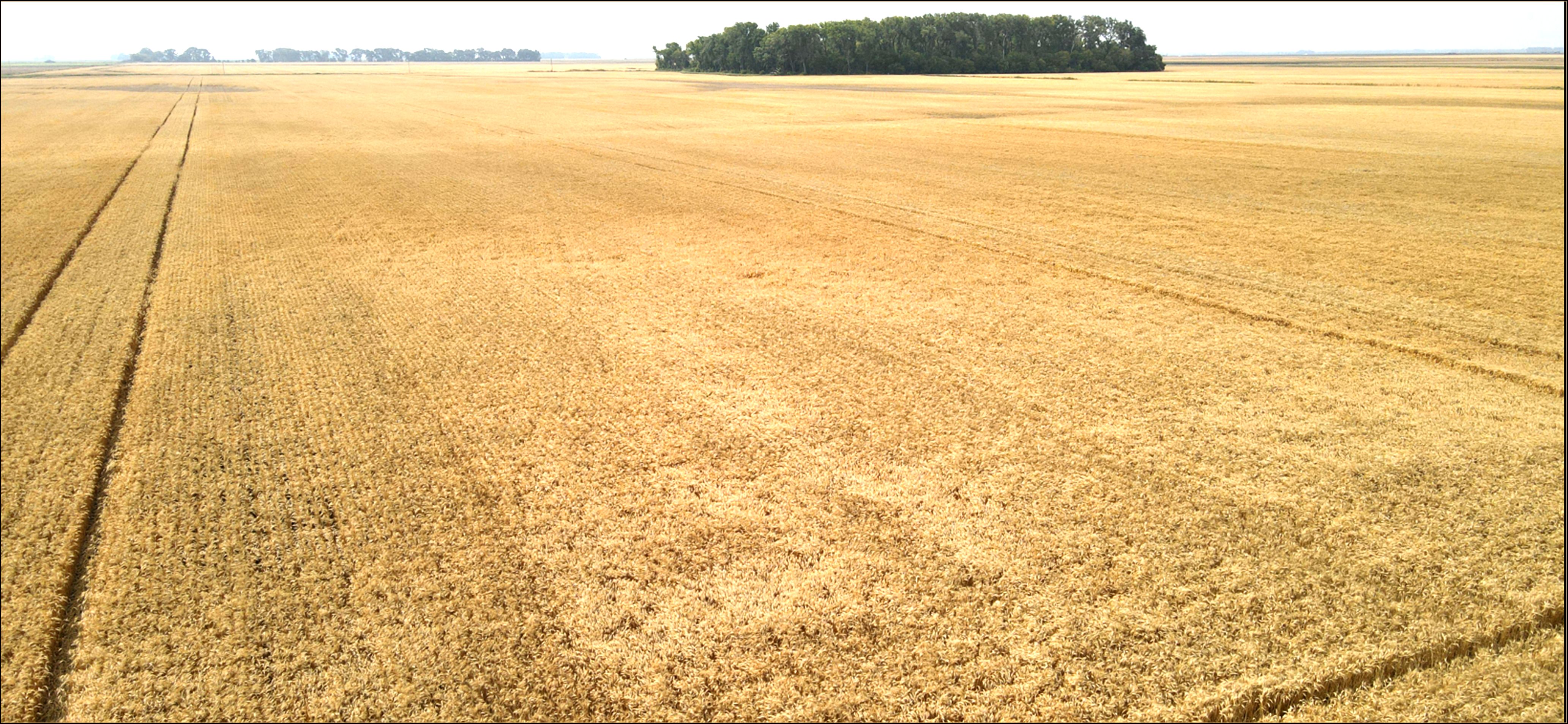 80 acres in Hamilton, ND, 58238 MLS RE448 Land and Farm