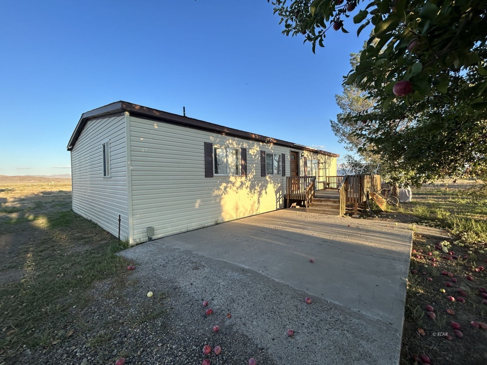 39.5 Acres, 92 McDaniel Way, Crescent Valley, NV 89821 Land and Farm