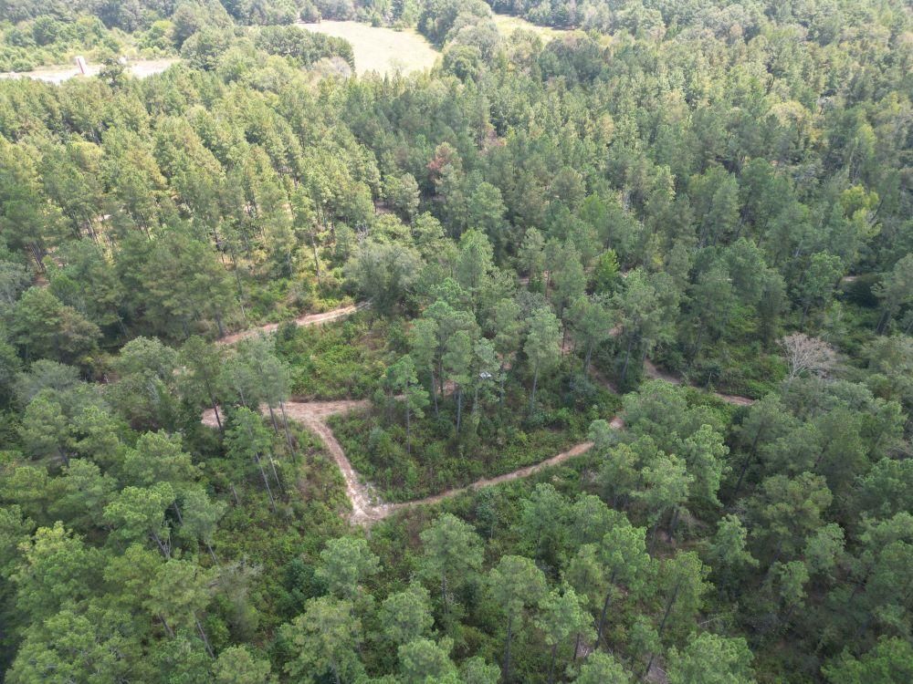 44 Acres, Dickie Road, Soso, MS 39480 Land and Farm