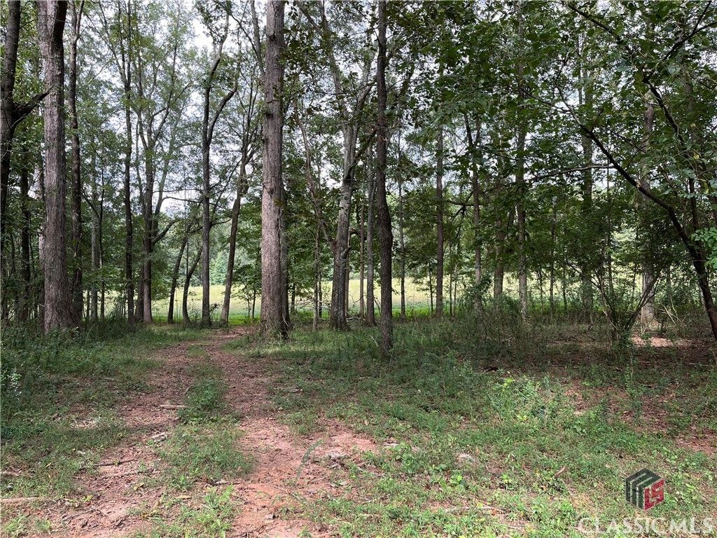 17.95 Acres, 0 Treadwell Bridge Road, Statham, GA 30666 Land and Farm