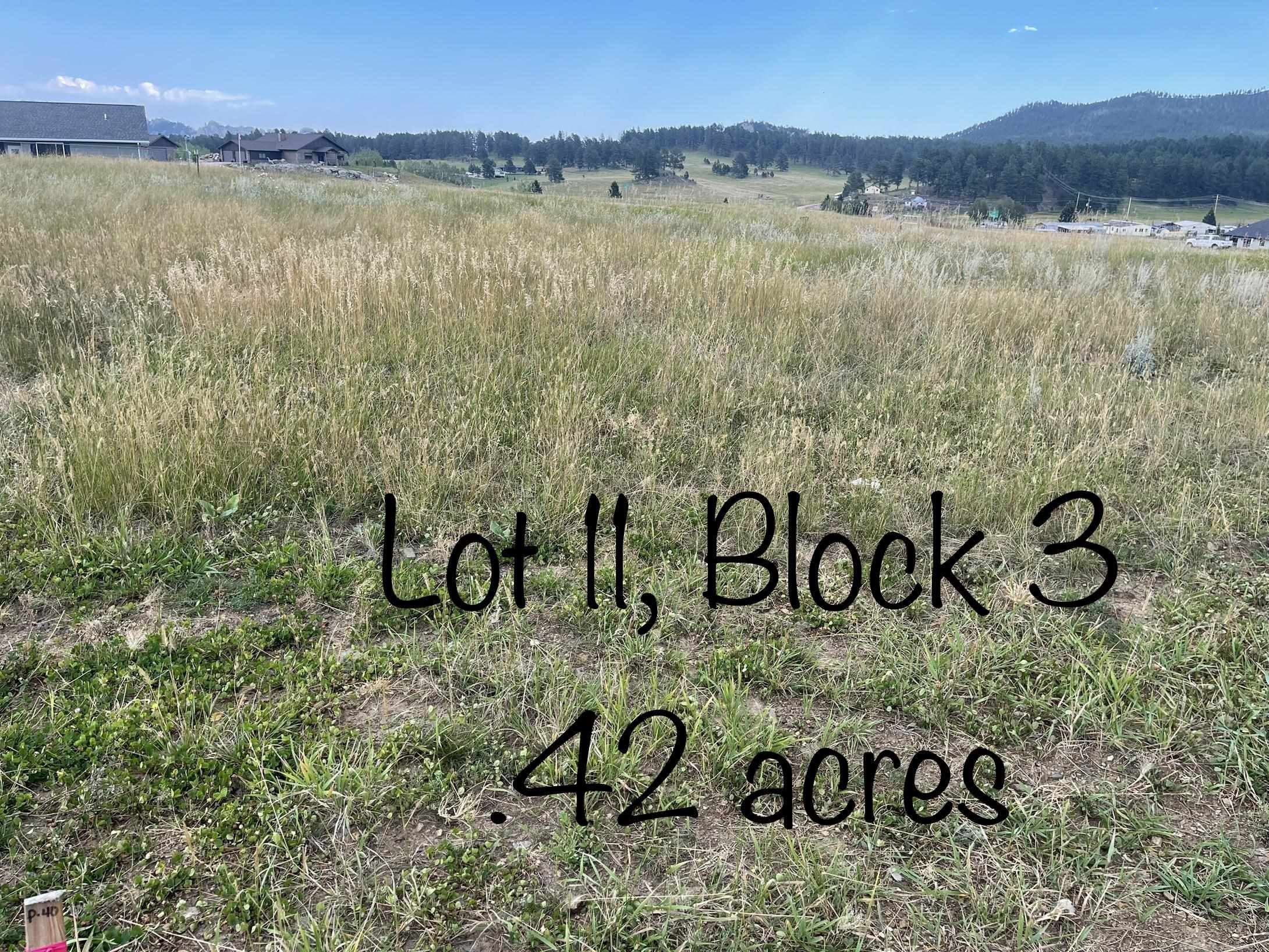 0.42 Acres, Lot 11, Block 3 Stone Hill, Custer, SD 57730 Land and Farm