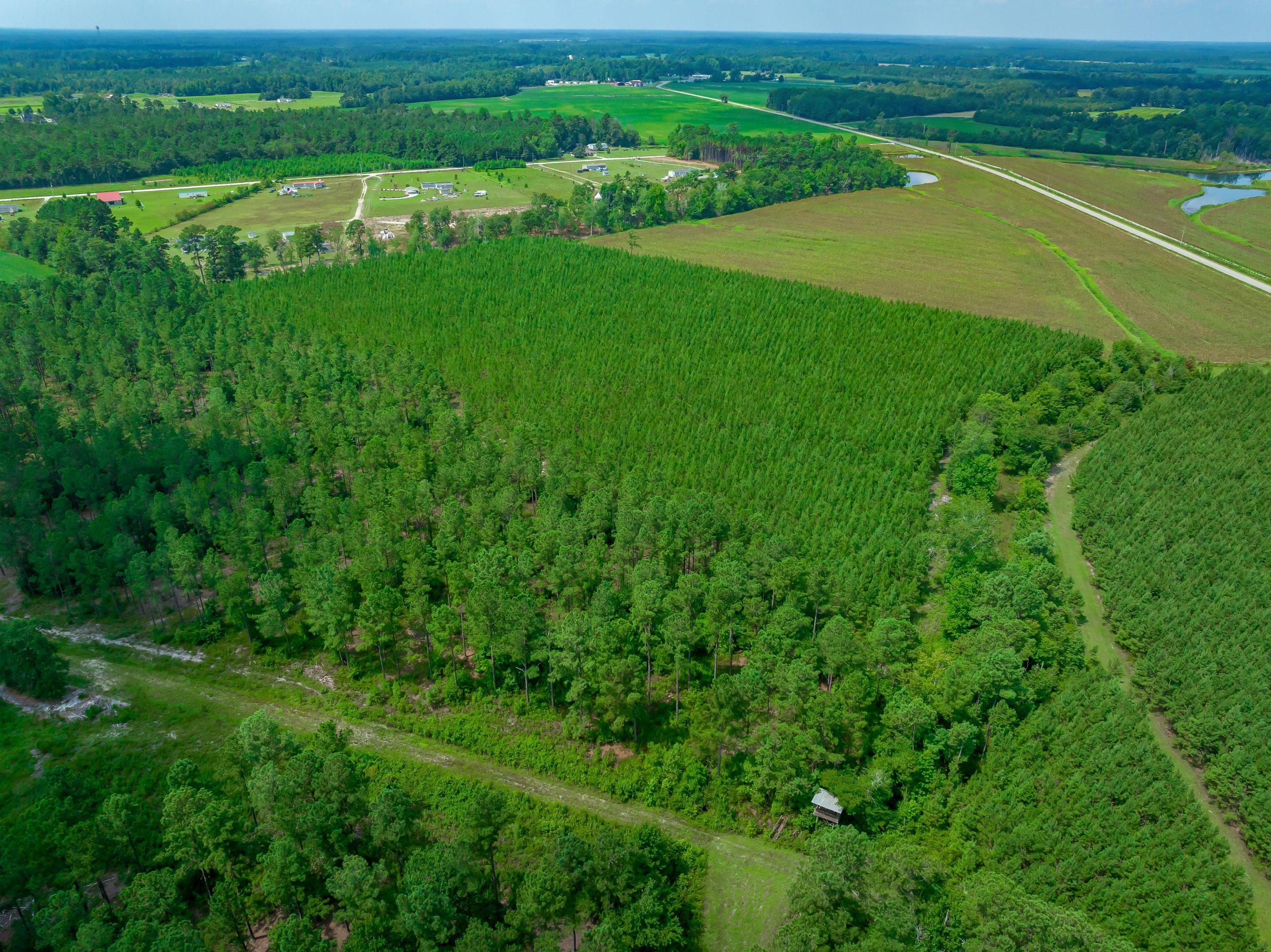 104.46 Acres, Aynor, SC 29511 Land and Farm