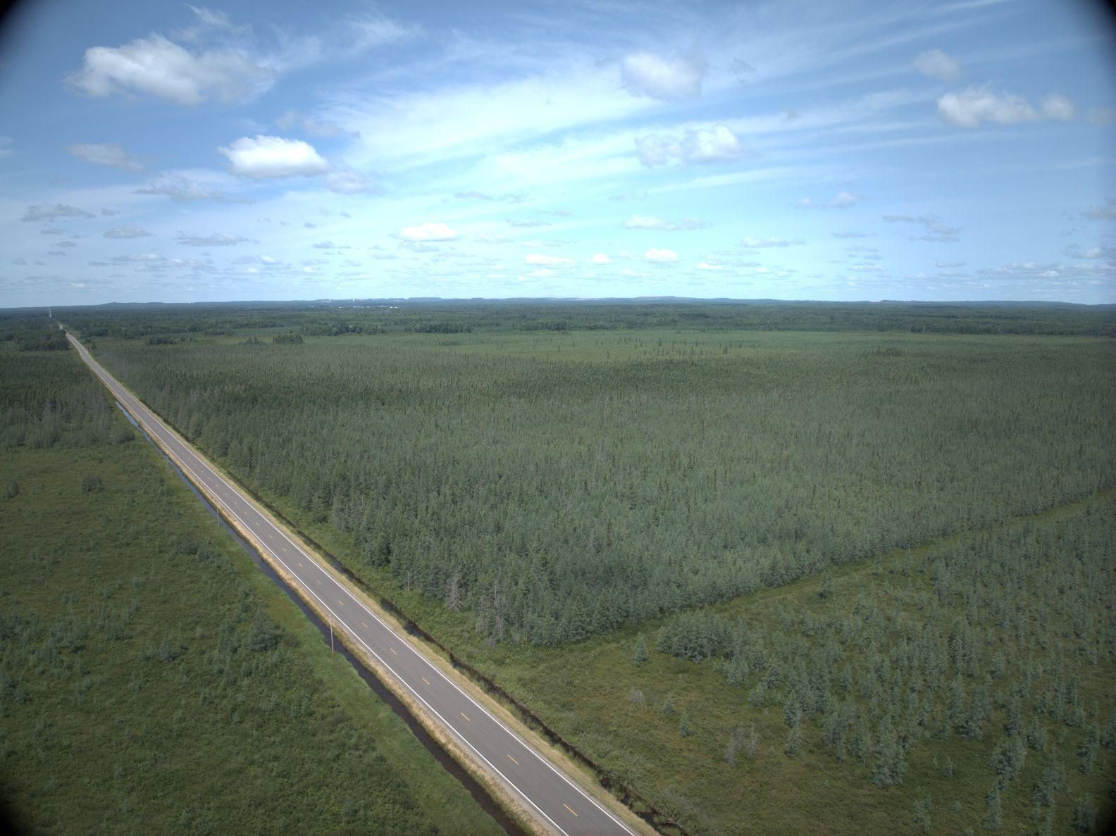 40 Acres, Mountain Iron, MN 55768 Land and Farm