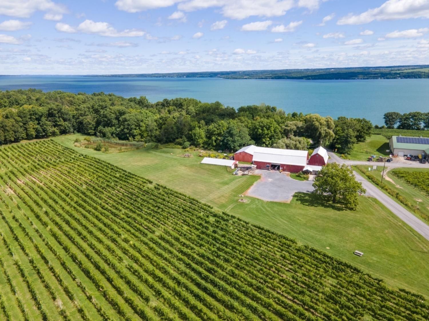 15 Acres, 6800 Route 89, Ovid, NY 14521 Land and Farm