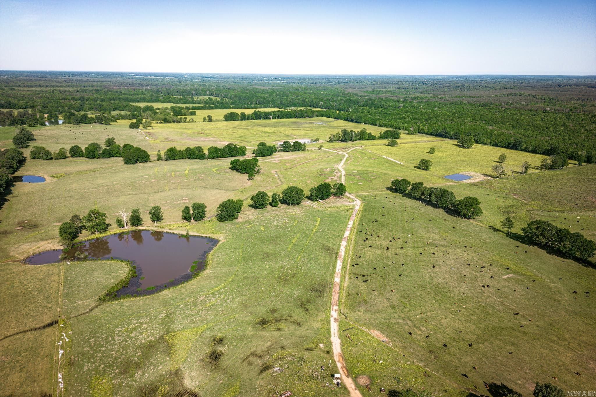 261 Acres, 171 Nevada 270, Emmet, AR 71835 Land and Farm