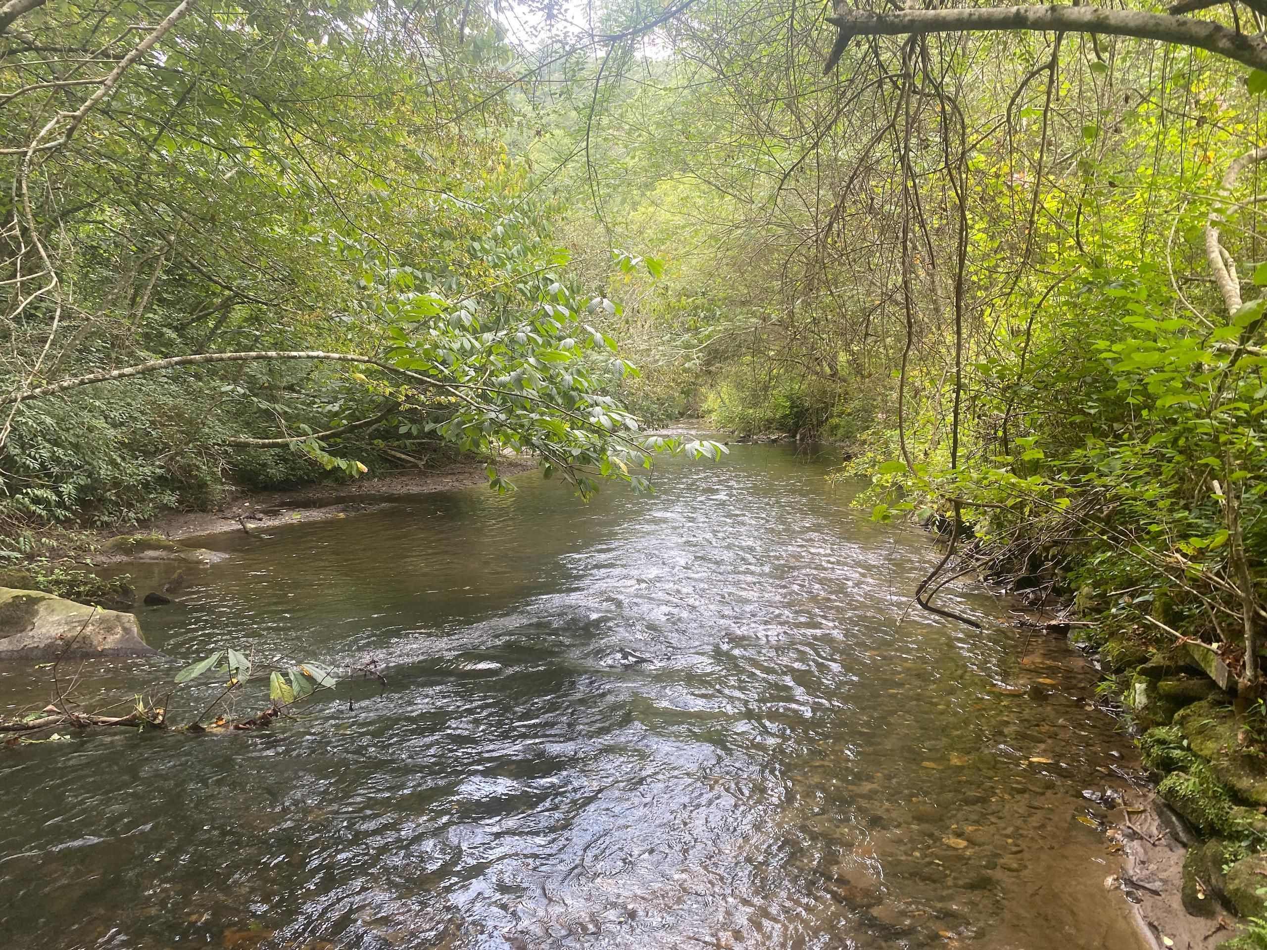 3454 Shulers Creek Rd, Murphy, NC 28906 Land and Farm