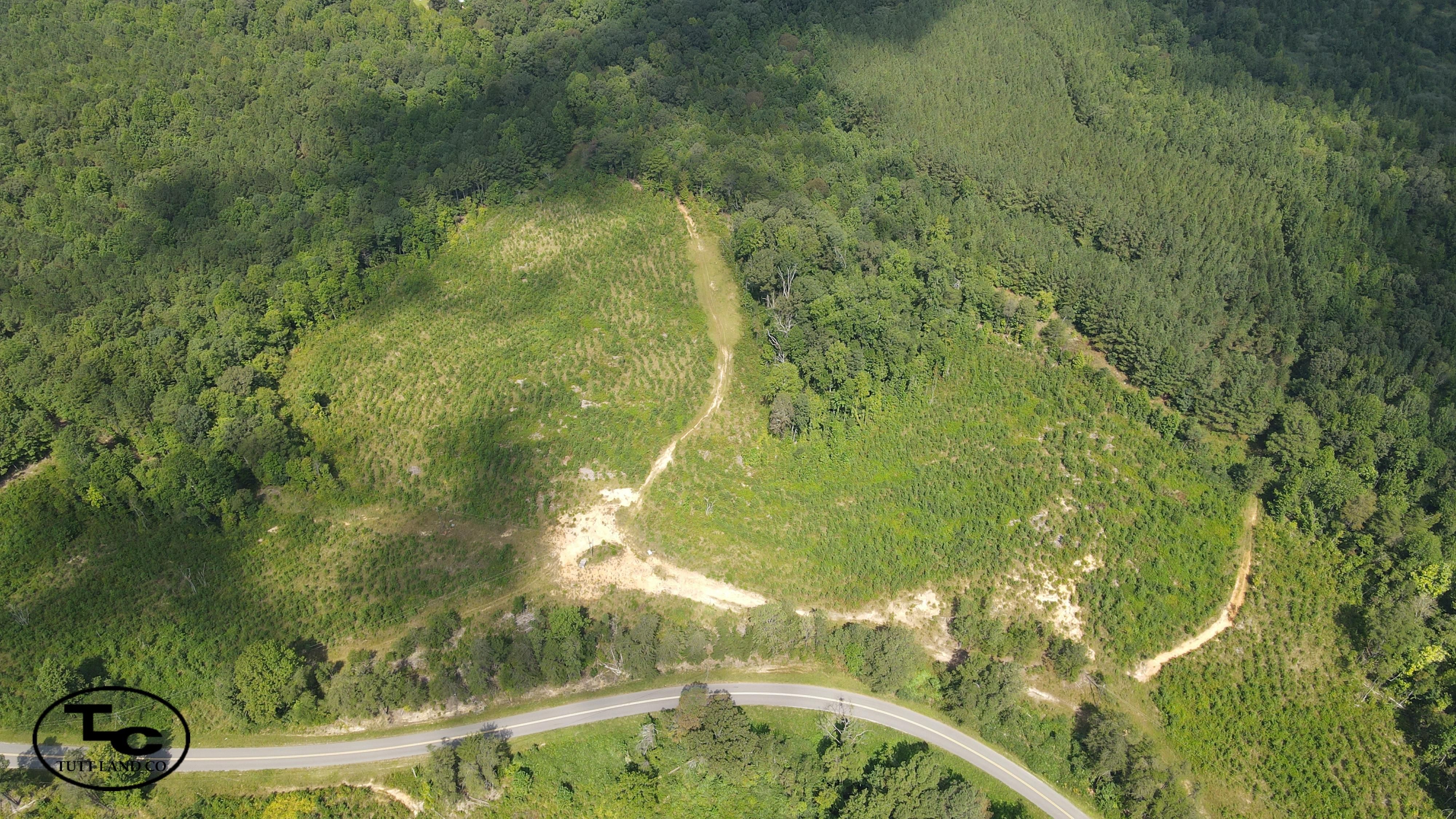 22 Acres, Haleyville, AL 35565 Land and Farm