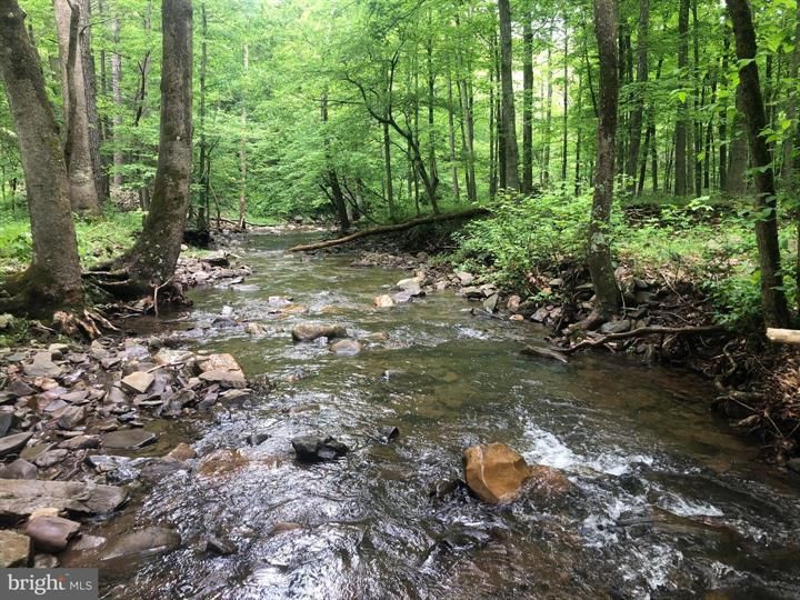 21.86 Acres, 135 ASHTON WOODS, Moorefield, WV 26836 Land and Farm