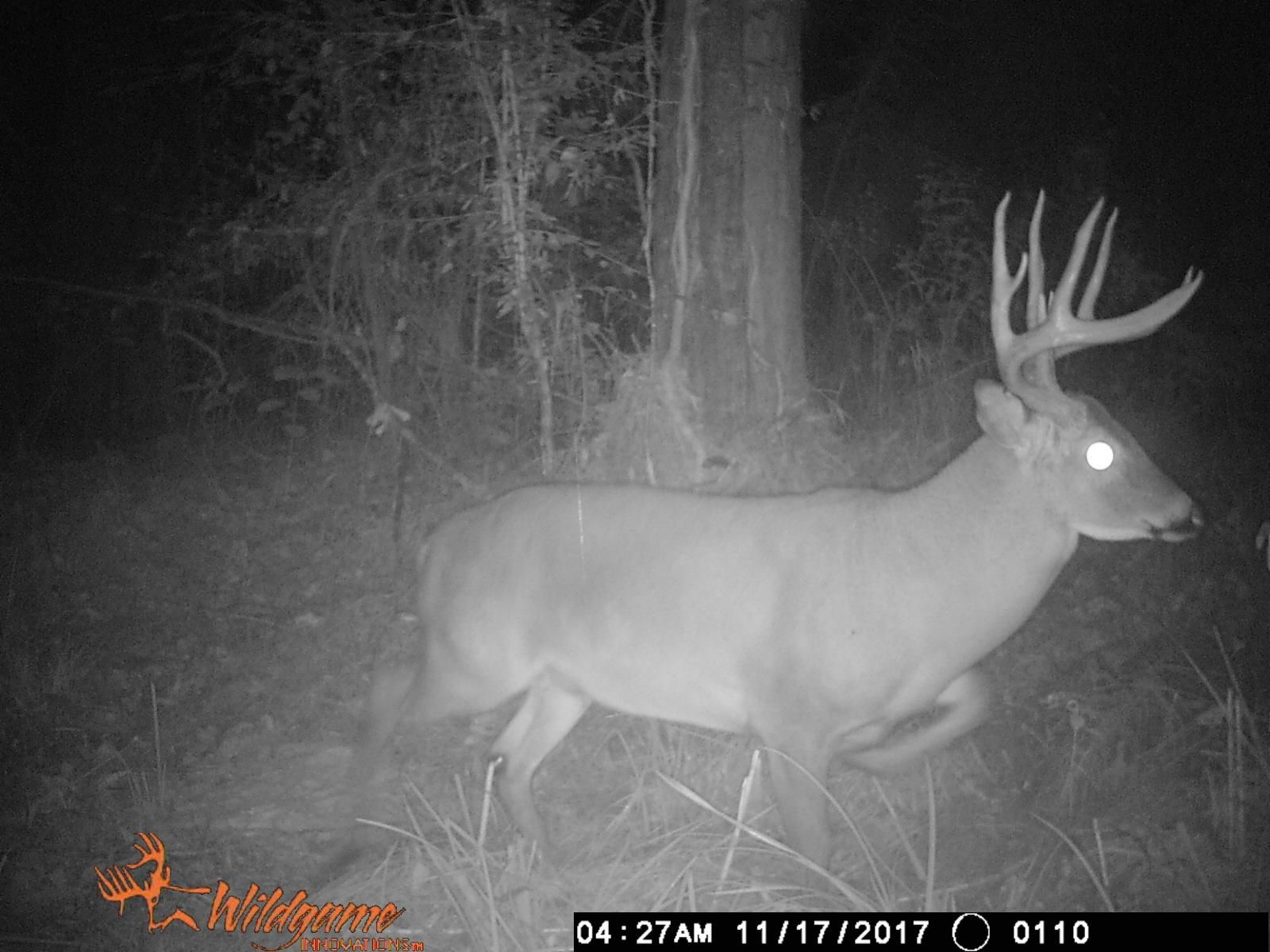 24 Acres, 1630 Clear Creek Road, Pollock, LA 71467 Land and Farm