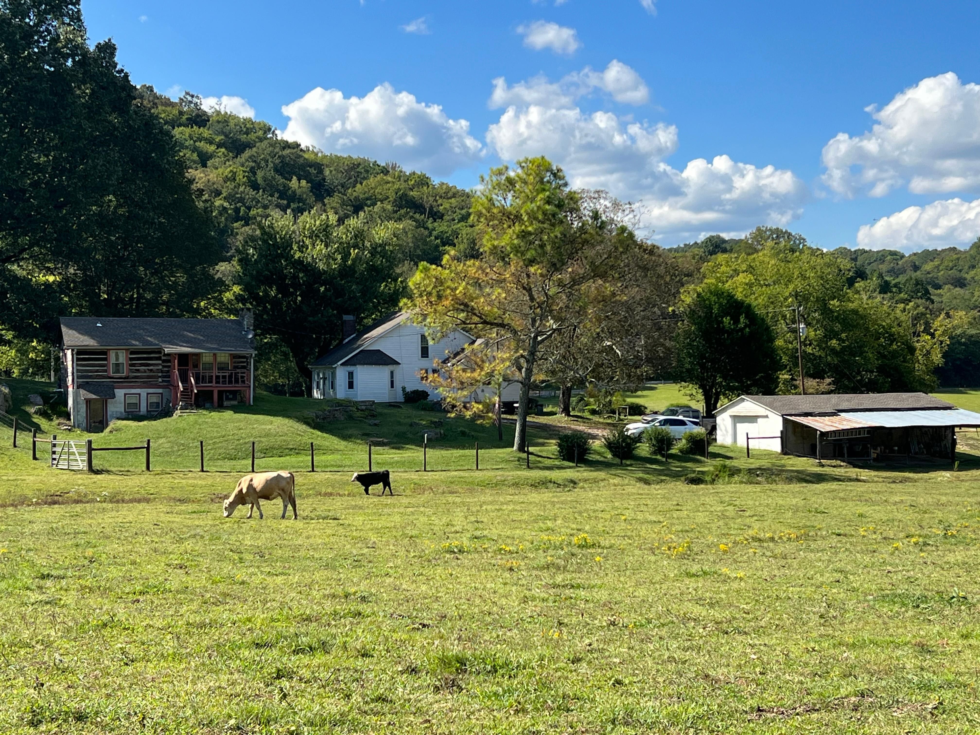 1993 Crooked Hill Road, Pulaski, TN 38478 Land and Farm
