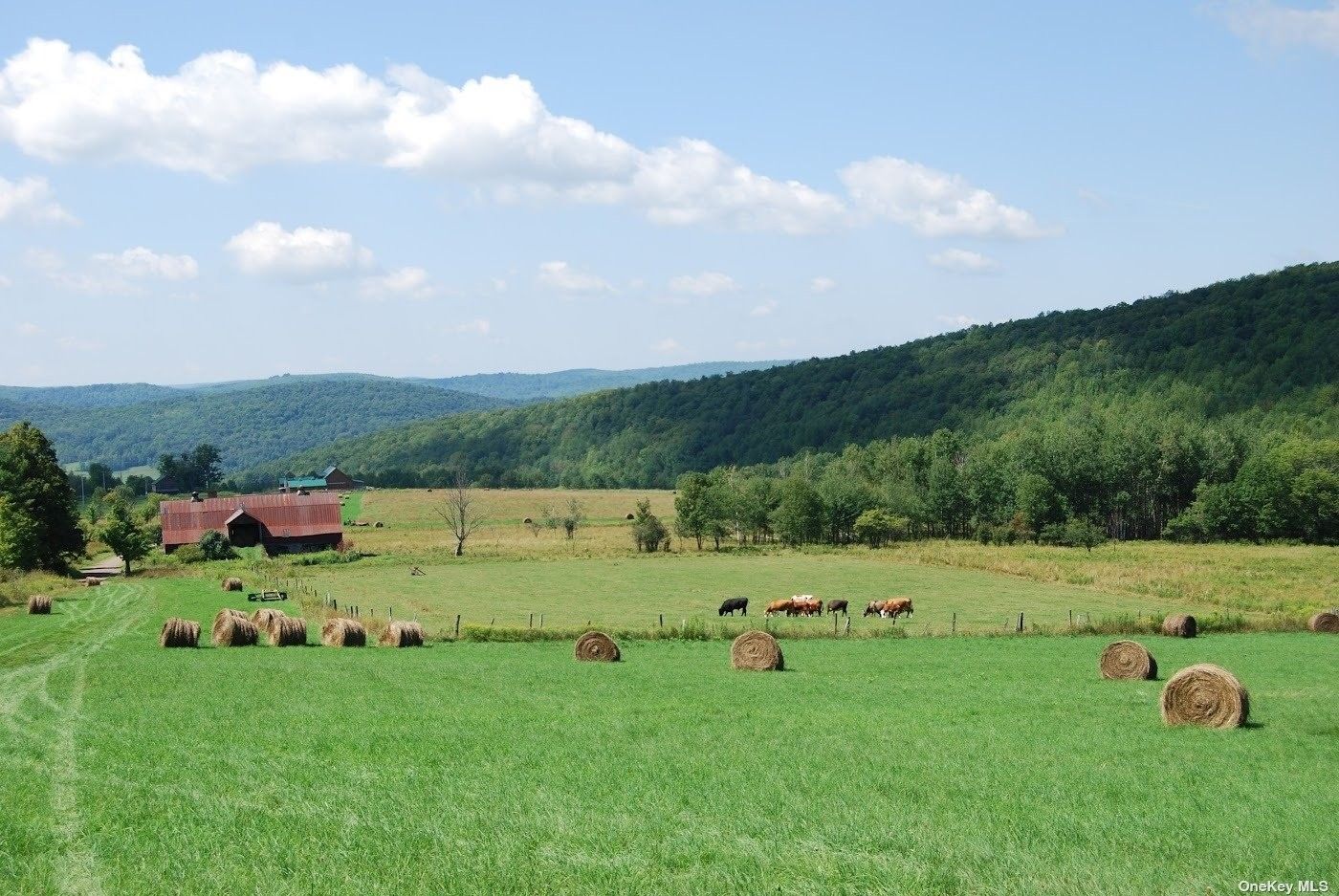 182.8 Acres, 1380 Finch Road, Franklin, NY 13775 Land and Farm