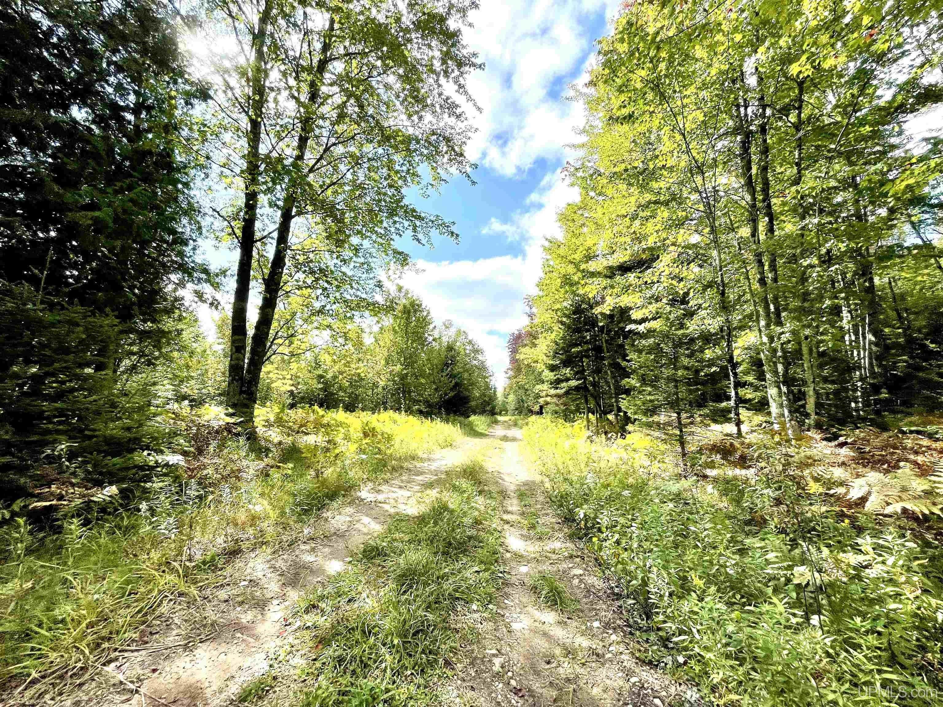 160 Acres, 1 CR SB, Cornell, MI 49818 Land and Farm