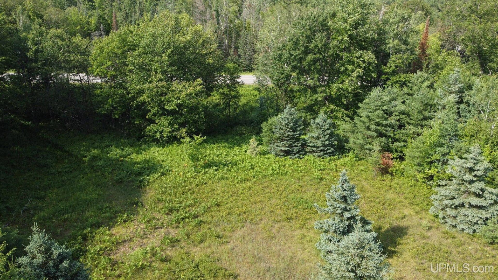 47.52 Acres, 47 Acres Us8, Dunbar, WI 54119 Land and Farm