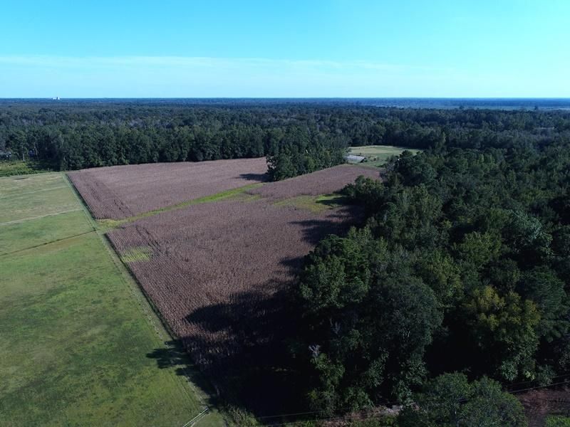 25 Acres, Pittman Rd, Lumberton, NC 28358 Land and Farm