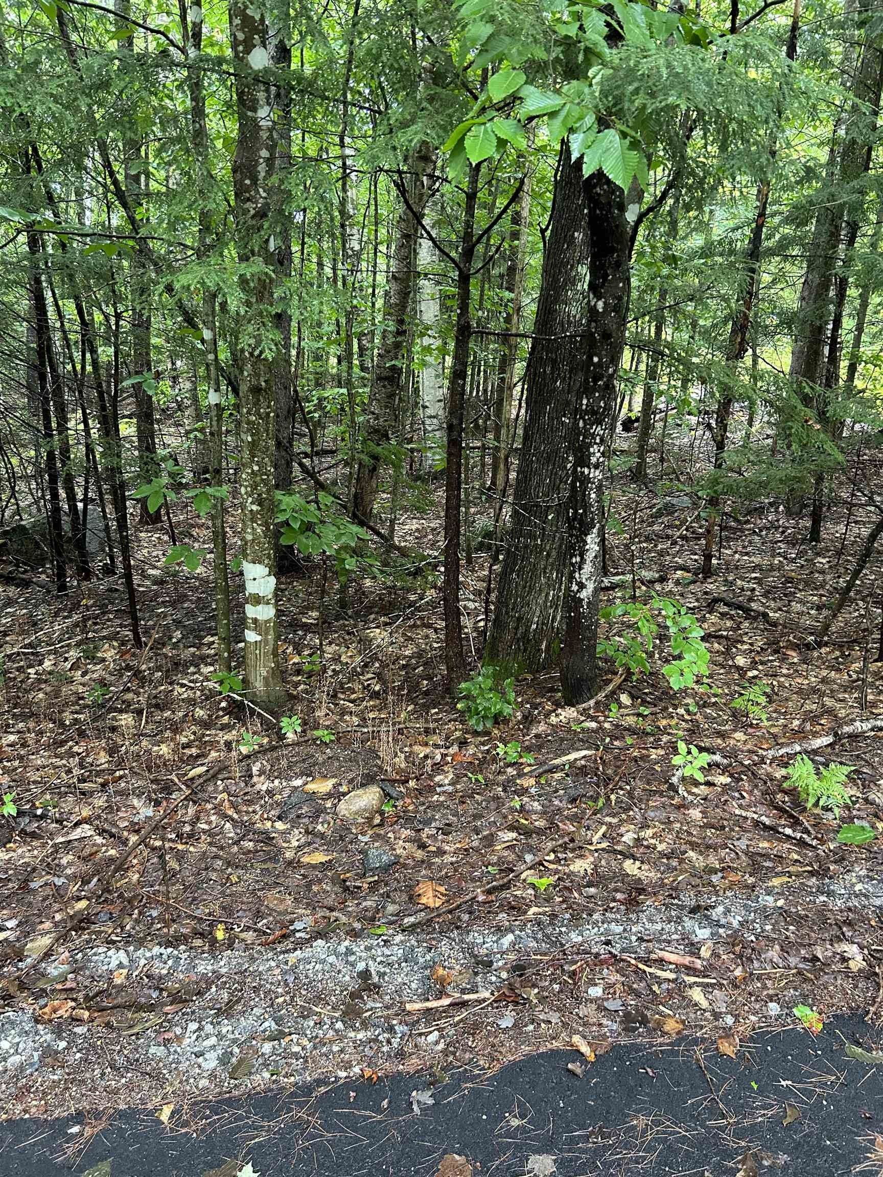 0.3 Acres, 5931 Goosehollow Road, Campton, NH 03223 Land and Farm