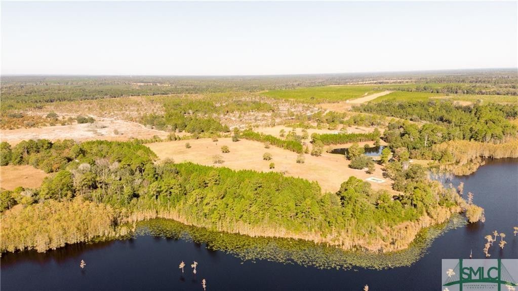 60 Acres, 2314 Falcon Lane, Metter, GA 30439 Land and Farm