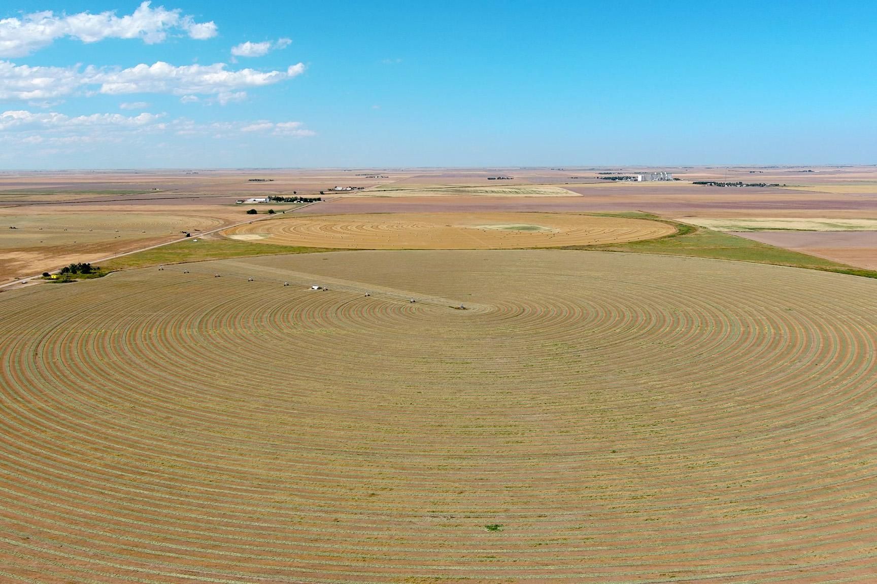 1,246 acres in Holyoke, CO, 80734 MLS Jerry Lahnert Estate Land