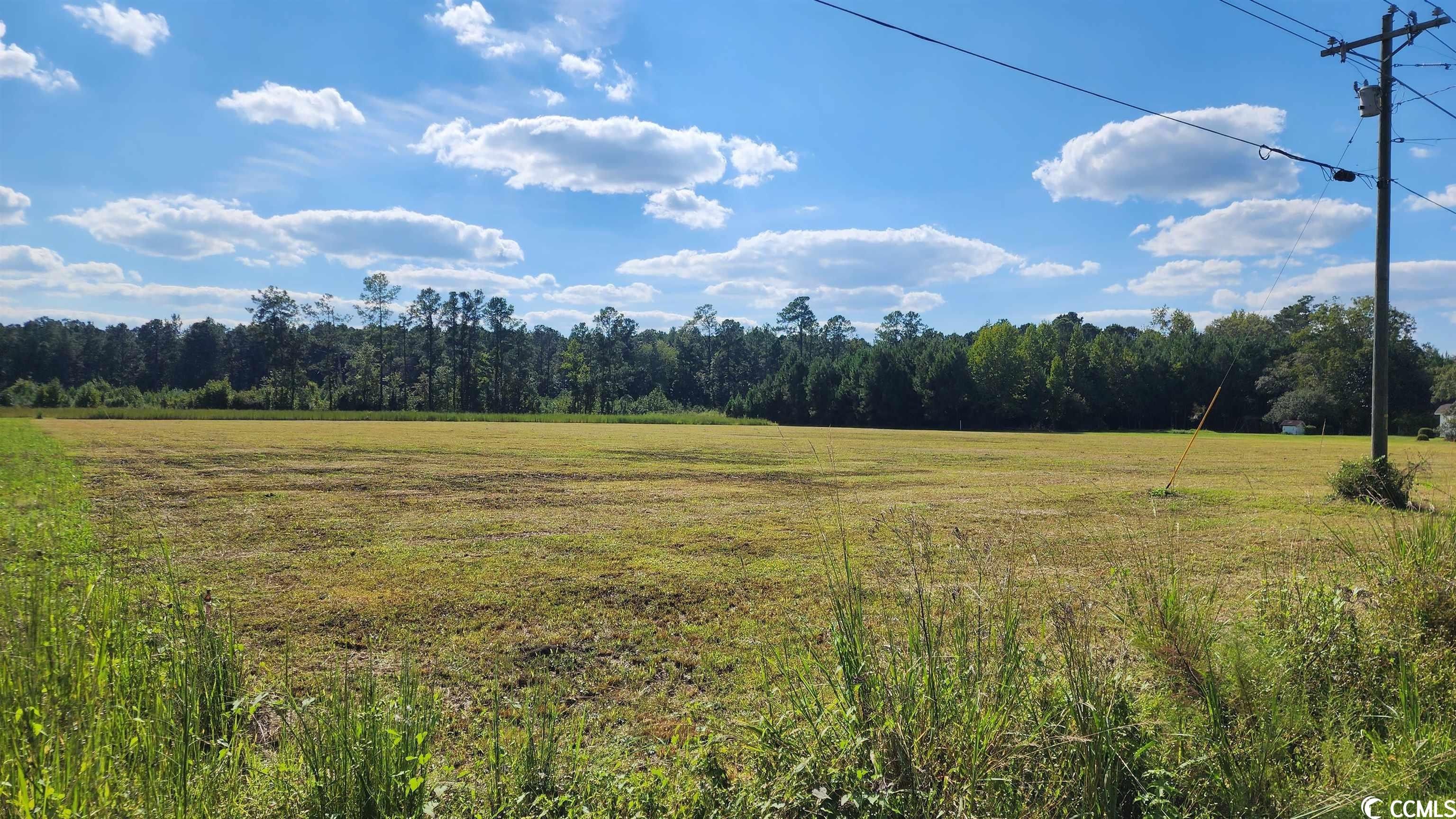 2 Acres, Lot 2 Hemingway Hwy., Hemingway, SC 29554 Land and Farm