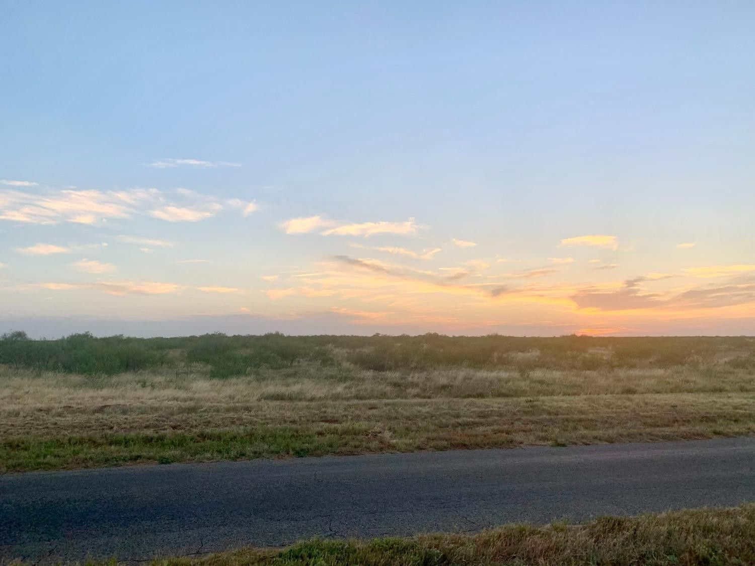 0 County Road O, Lamesa, TX 79331 MLS 202313093 Land and Farm