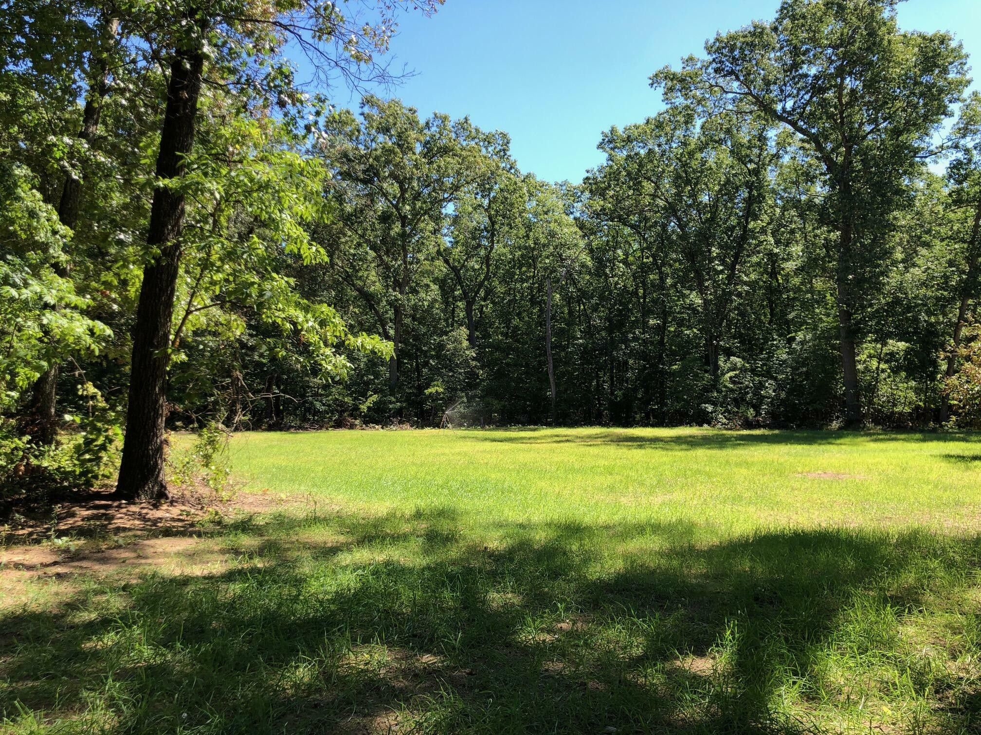 9.75 Acres, 4870 112TH AVENUE, Pullman, MI 49450 Land and Farm