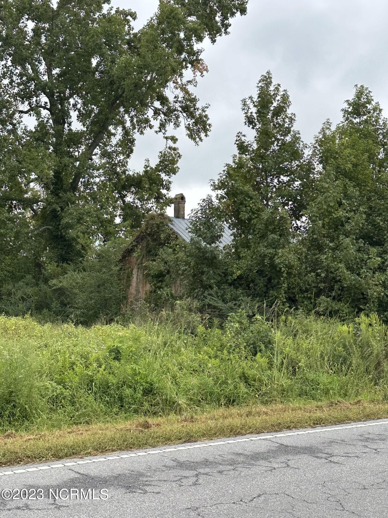 0.41 Acres, 24983 Nc Hwy 903, Robersonville, NC 27871 Land and Farm