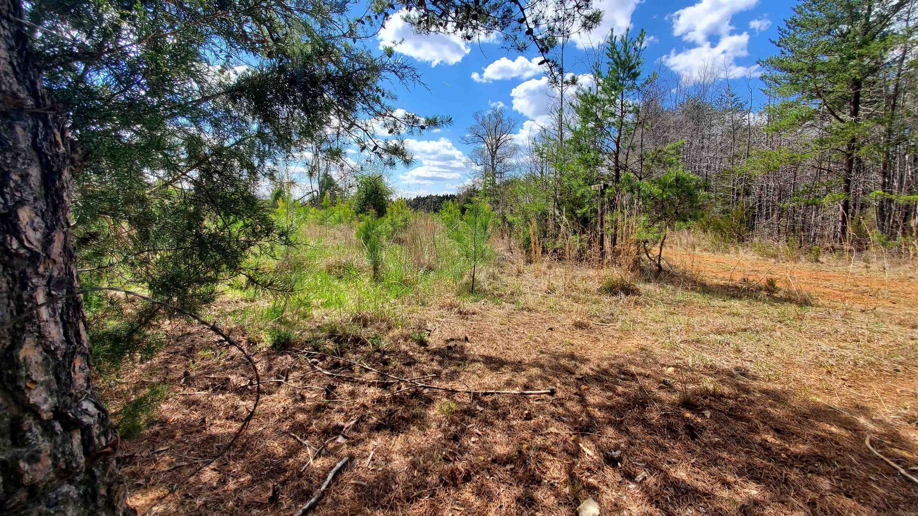 0 RENAN RD, Gretna, VA 24557 MLS 645941 Land and Farm