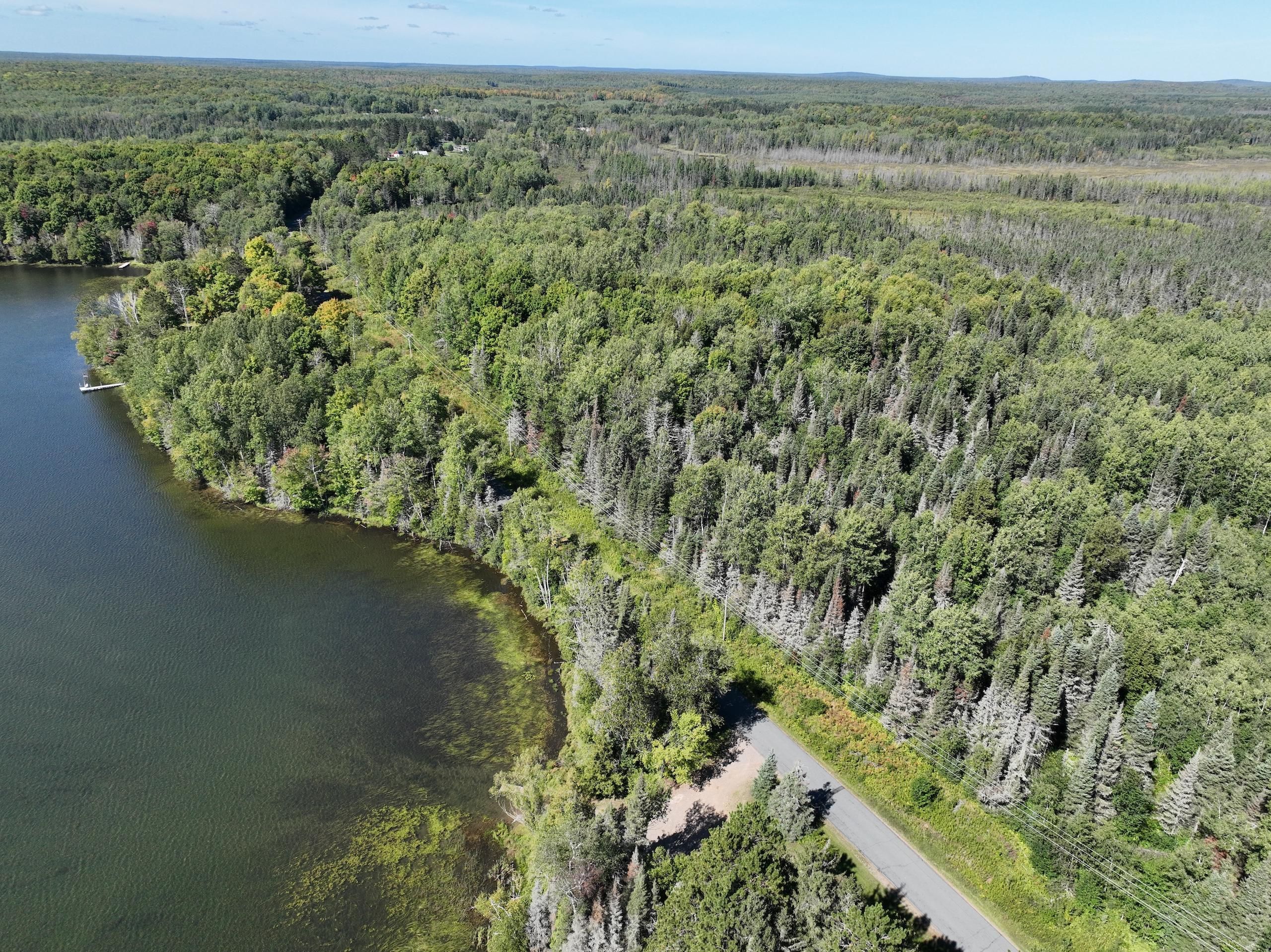 Dream Lake Road, Long Lake, WI 54542 Land and Farm