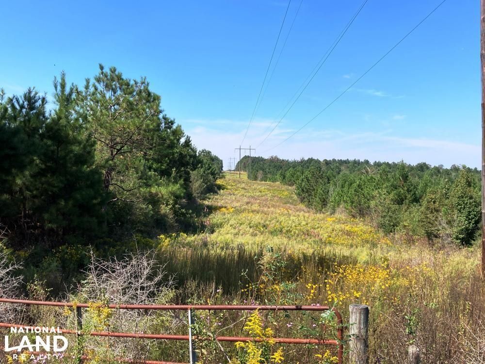 294 Acres, 2272 Purvis Baxterville Road, Lumberton, MS 39455 Land and