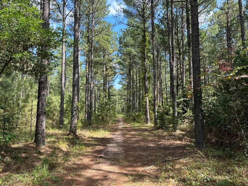 242 Acres, GA88, Sandersville, GA 31082 Land and Farm