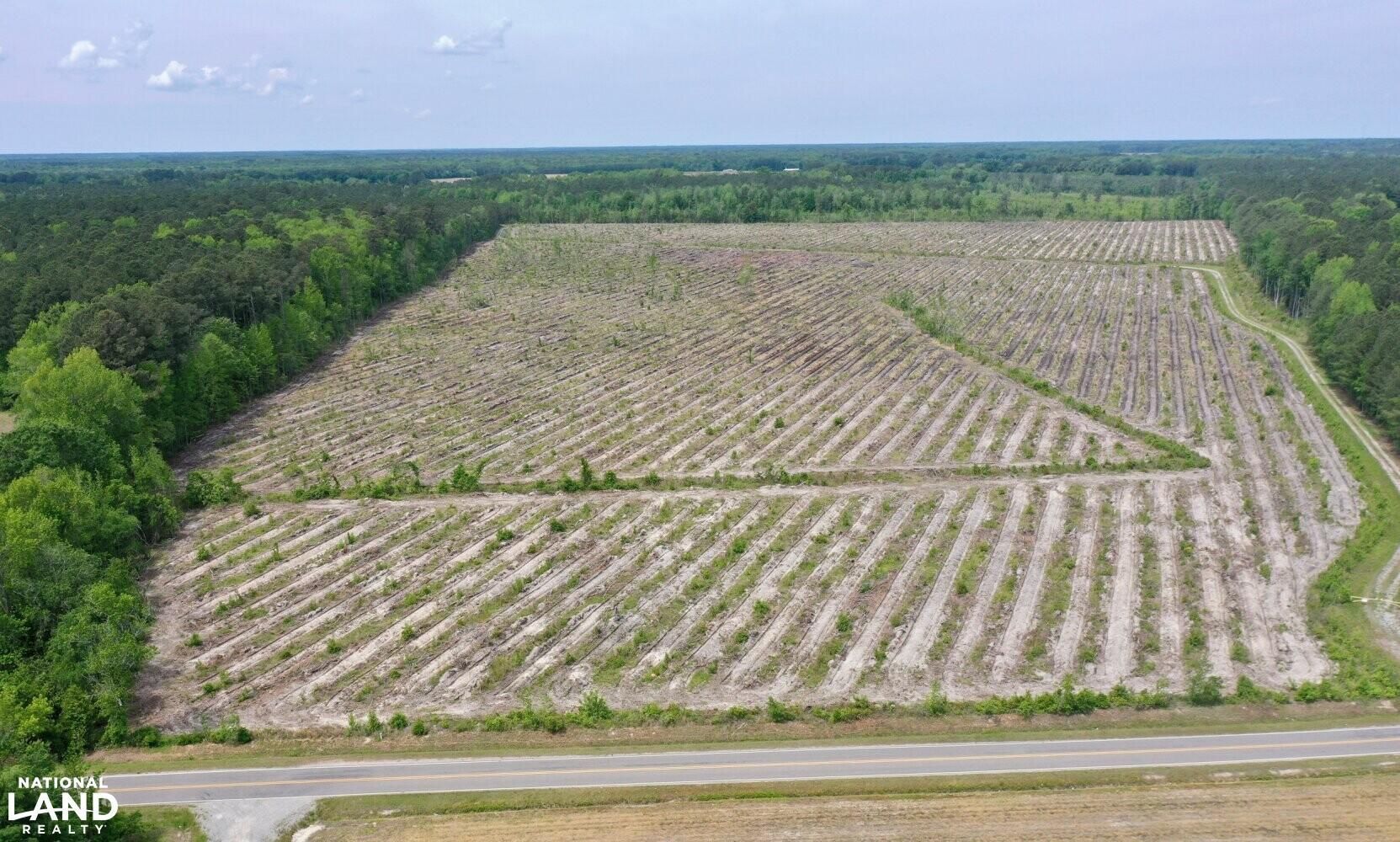 0 Spivey Road, Leggett, NC 27886 Land and Farm