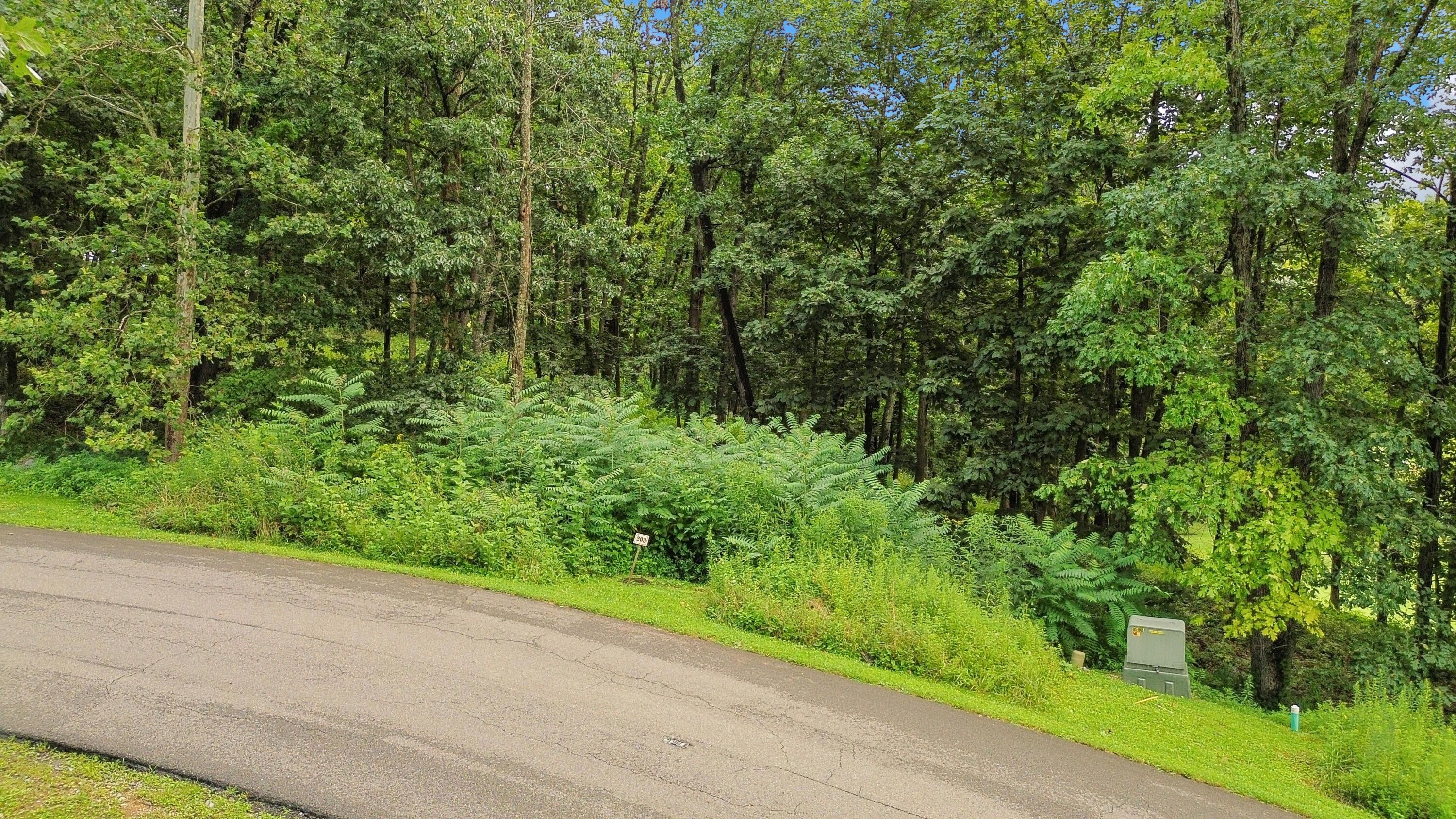 0.45 Acres, Tbd Washington Way, Bristol, VA 24202 Land and Farm