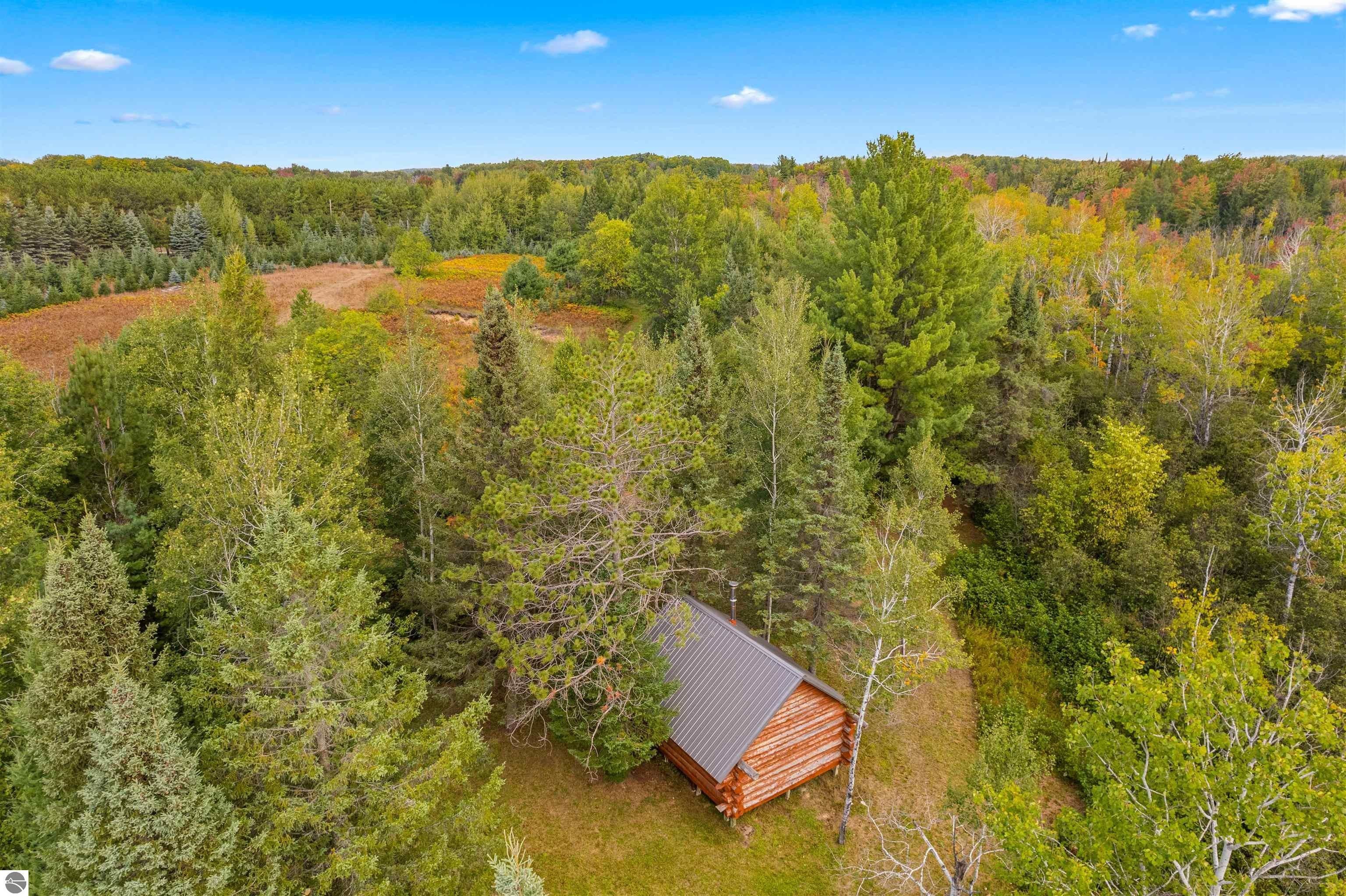 38.53 Acres, 7375 Walker Road, Afton, MI 49705 Land and Farm