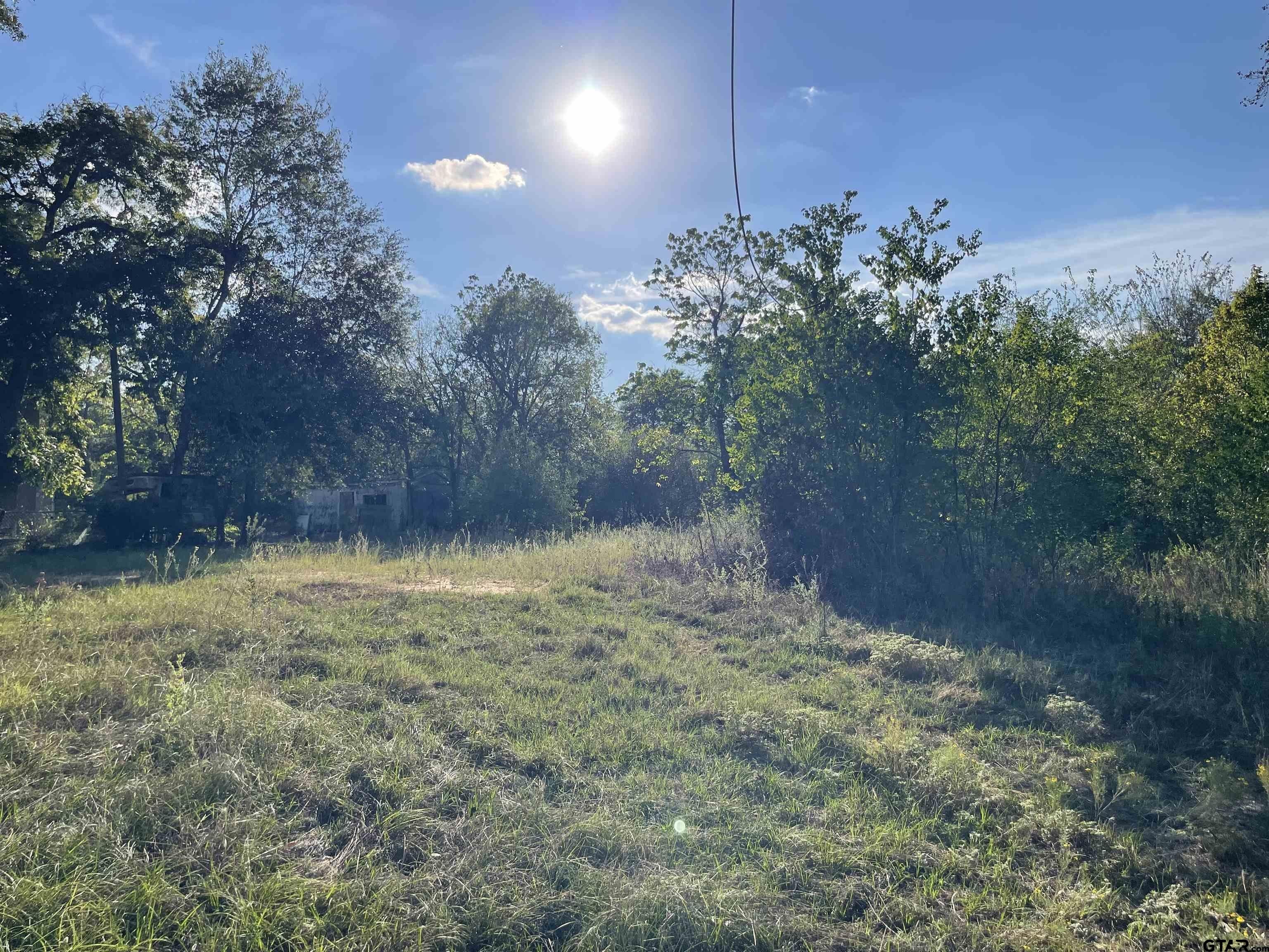 0.35 Acres, 102 W Wade, Arp, TX 75750 Land and Farm